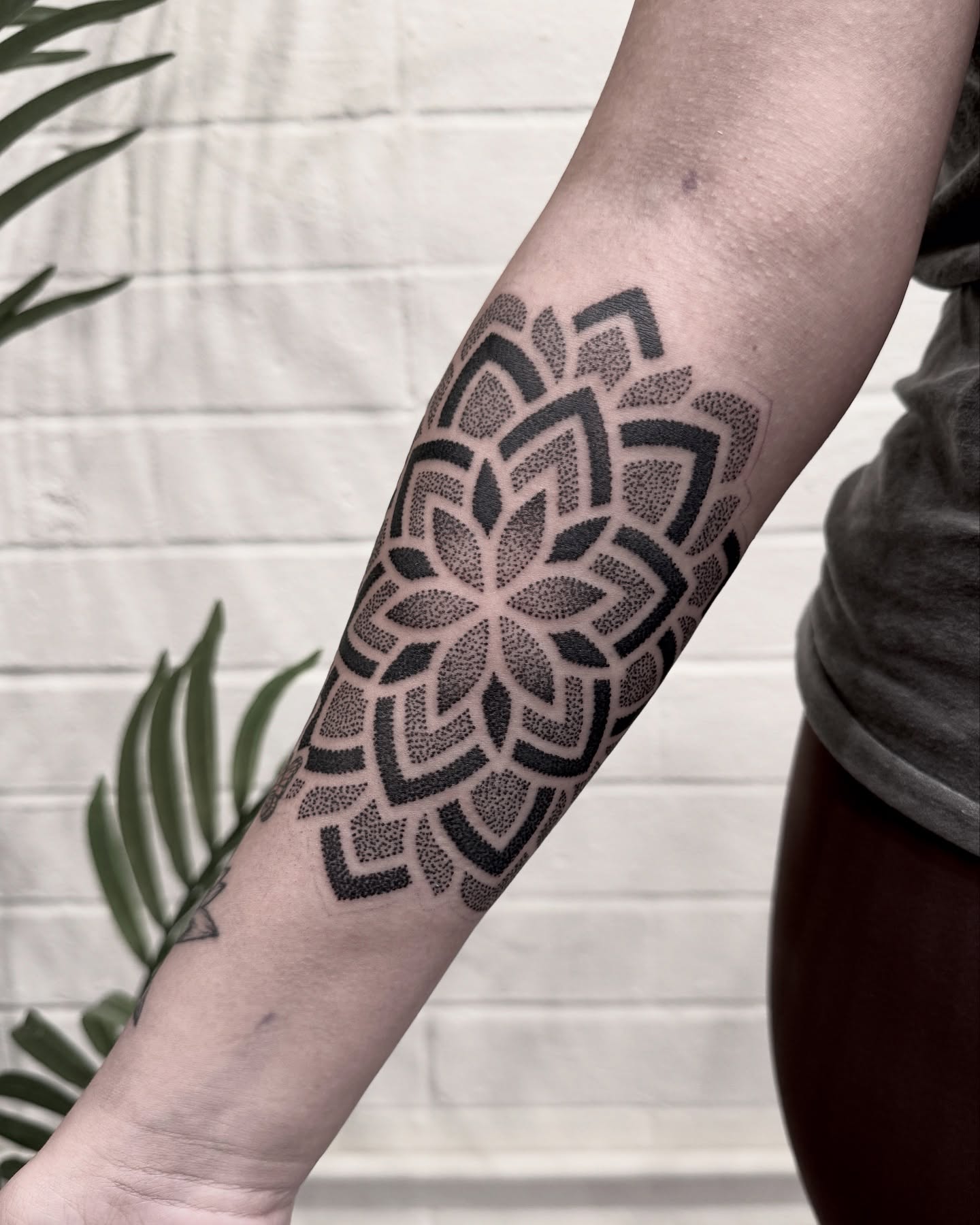 Tattoo by @shakuto_tattoos — dotwork