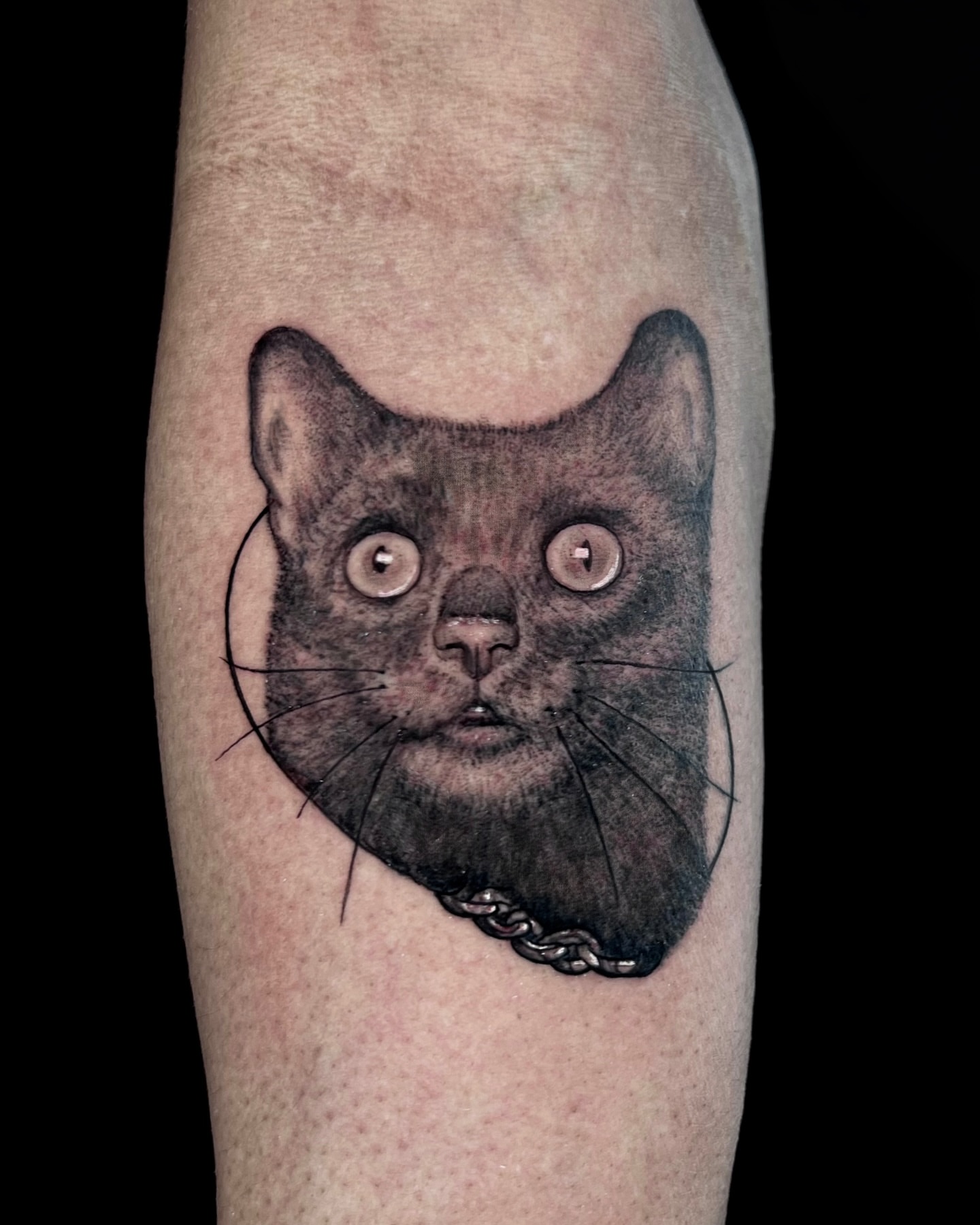 Cat realism tattoo on the forearm by Milk Tattoos 🇸🇻🇪🇸