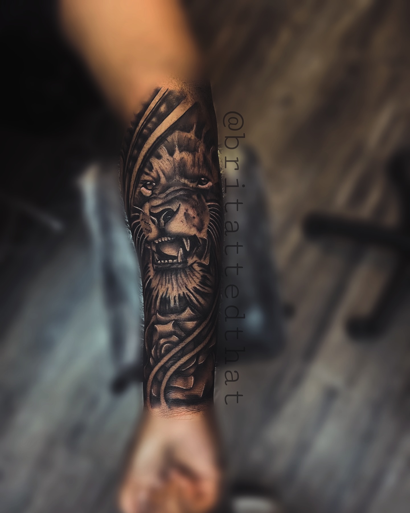 Lion realism tattoo on the forearm by Bri Tatted That