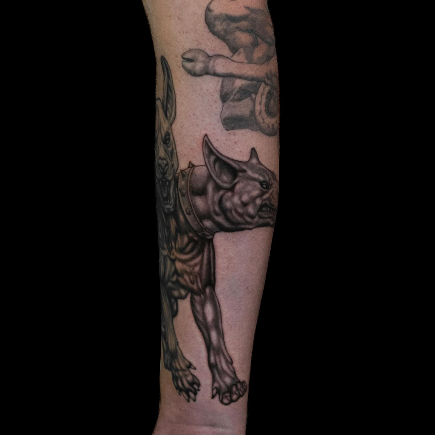Dog realism tattoo on the forearm by Tattoo Artist
