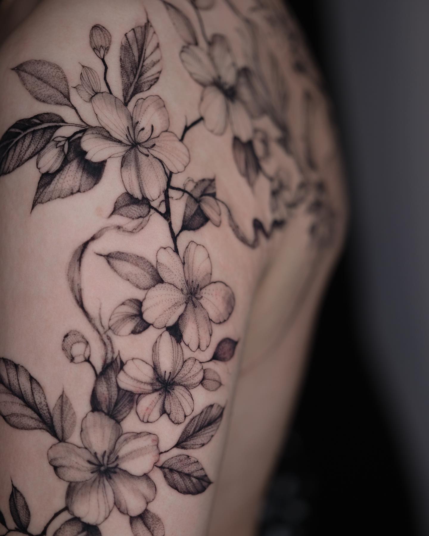 Cherry blossoms black and grey tattoo on the shoulder by Tattoo artist in Boston
