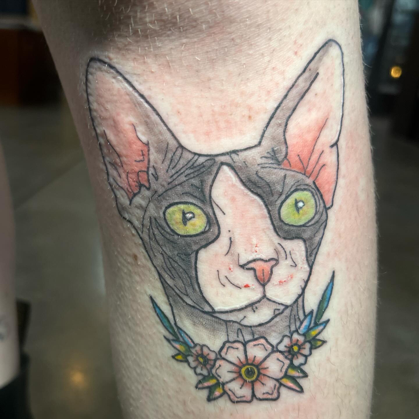 Cat with flowers American traditional tattoo on the forearm by goose 🪿