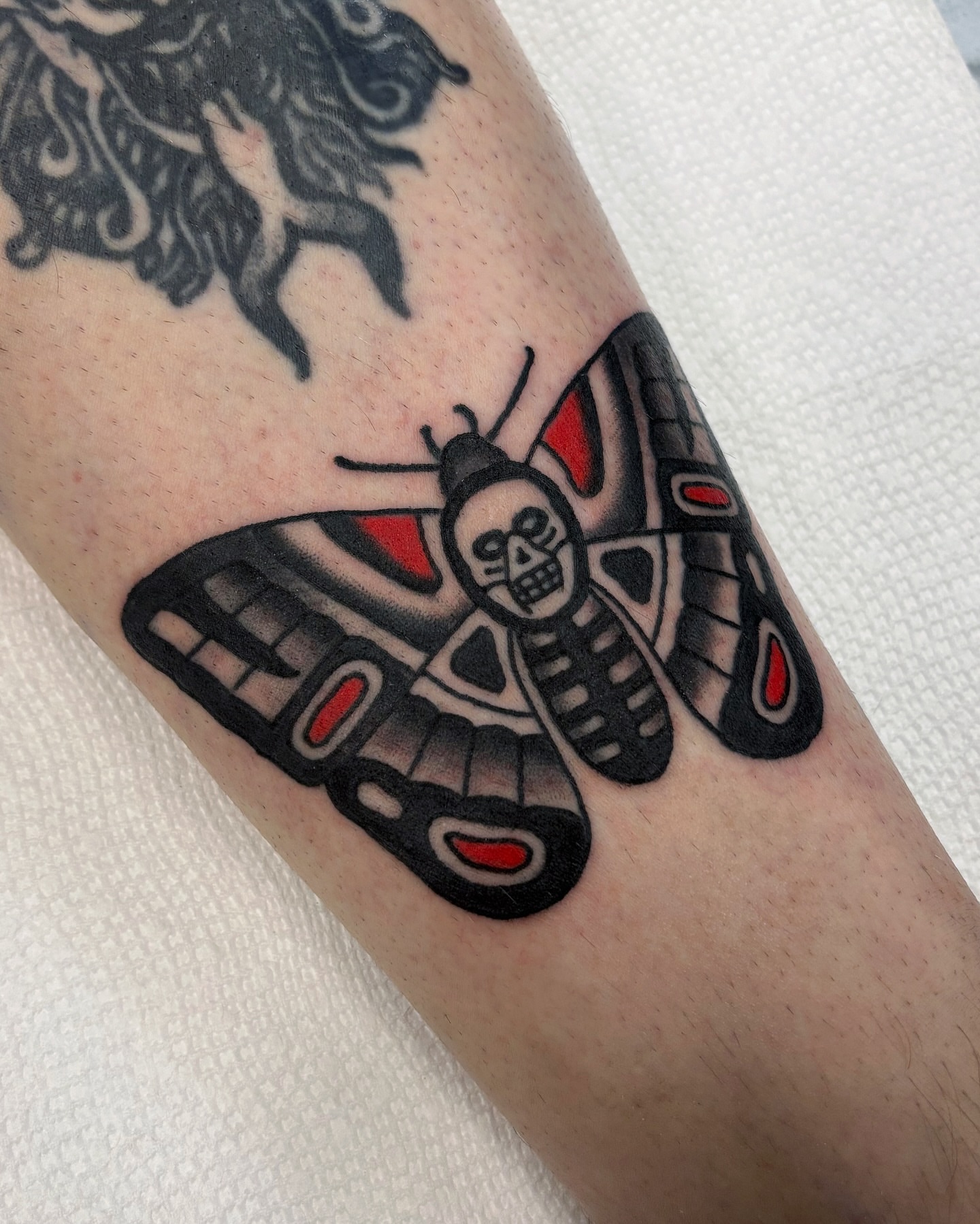 Moth black and grey tattoo on the forearm by Ben Fiedler