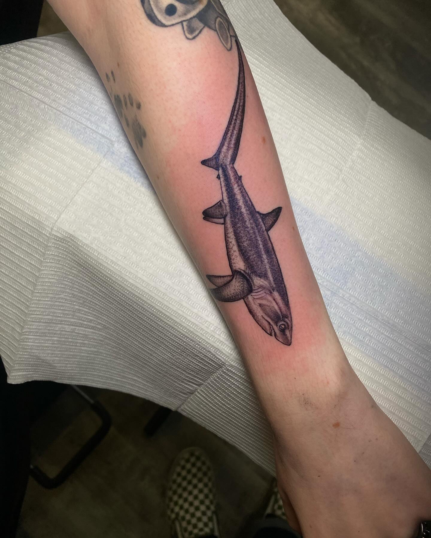 Shark realism tattoo on the forearm by Chase Skylar Clayton Ogle