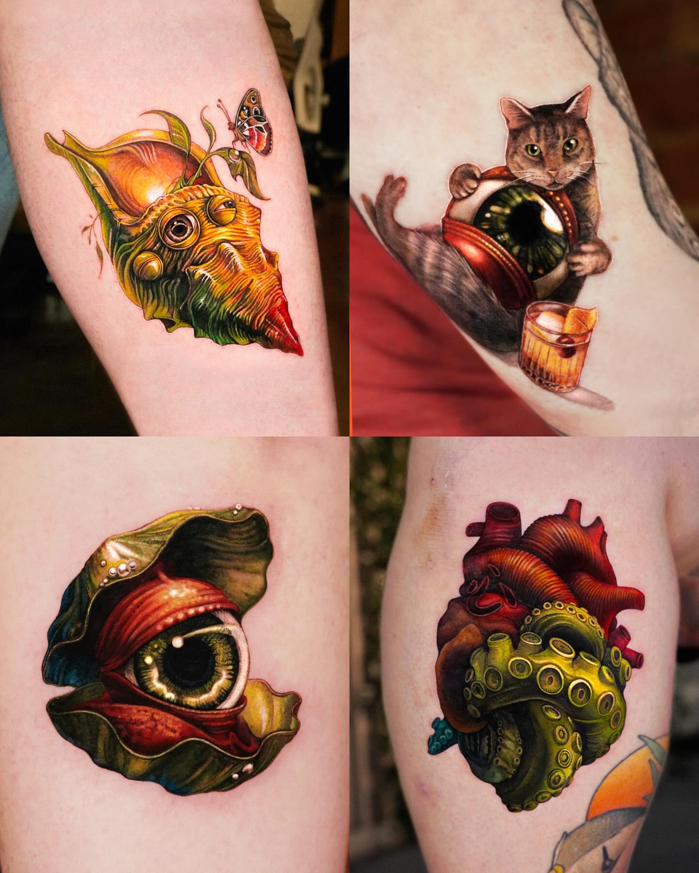 Seashell with butterfly realism tattoo on the forearm by 대구타투 iwol colortattoo realismtattoo