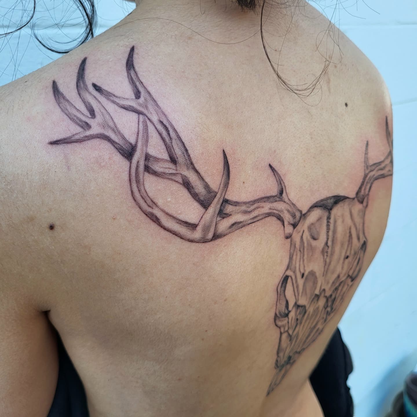 Deer skull and antlers realism tattoo on the back by Jenna 🖤 Tattoos Denton TX