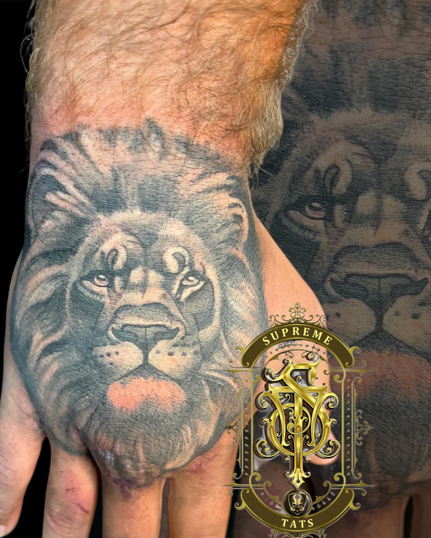 Lion realism tattoo on the hand by Christopher Allman, Cheviot, Ohio