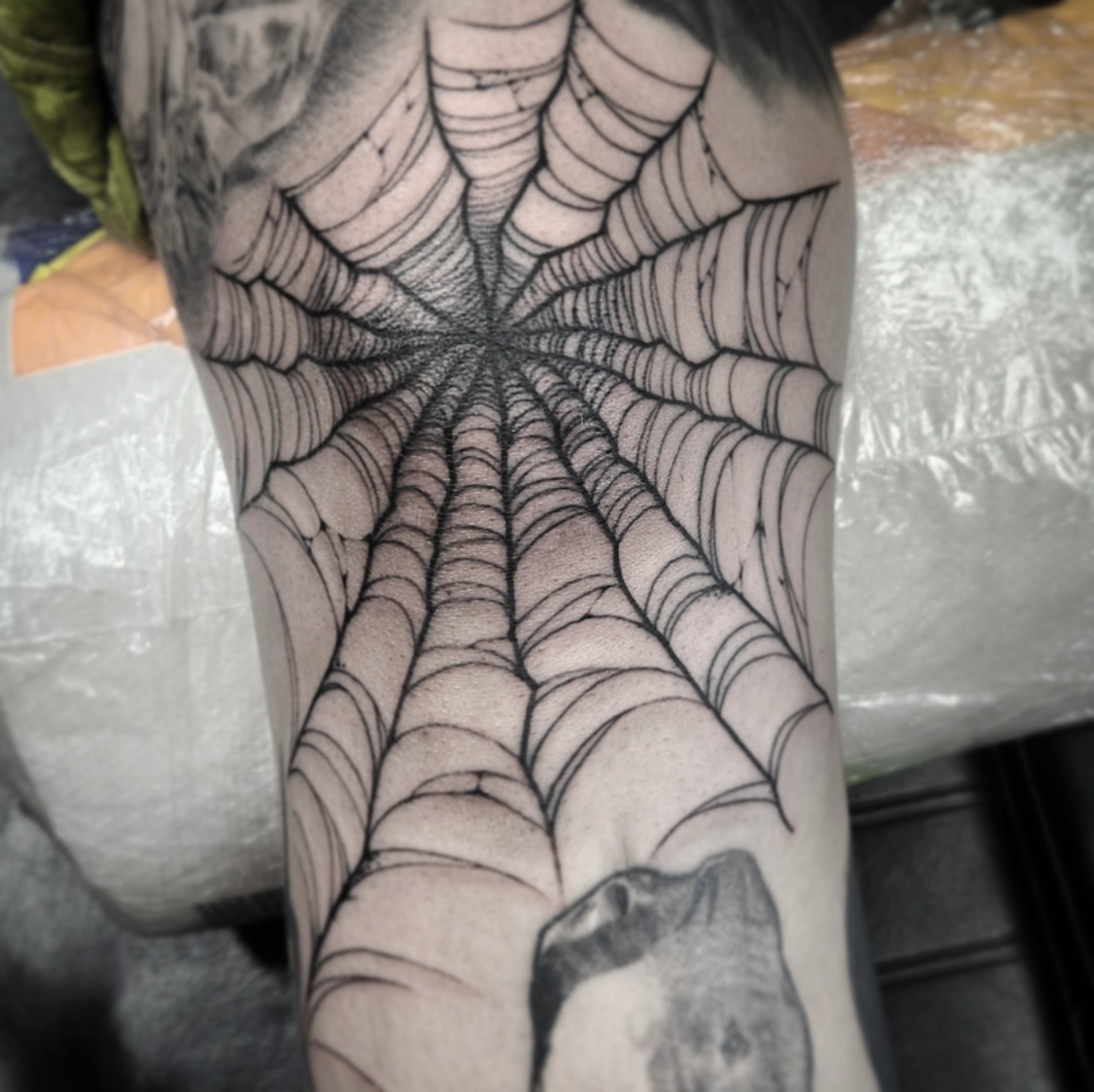 Spider web black and grey tattoo on the forearm by CASEY JENSEN ✨ Fort Collins CO