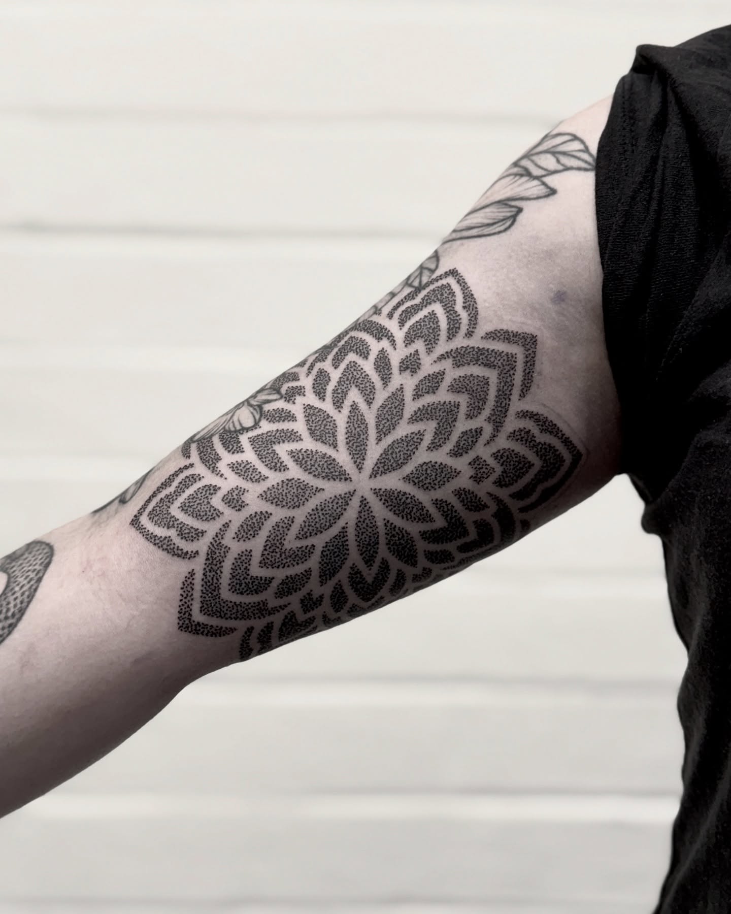 Tattoo by @shakuto_tattoos — dotwork