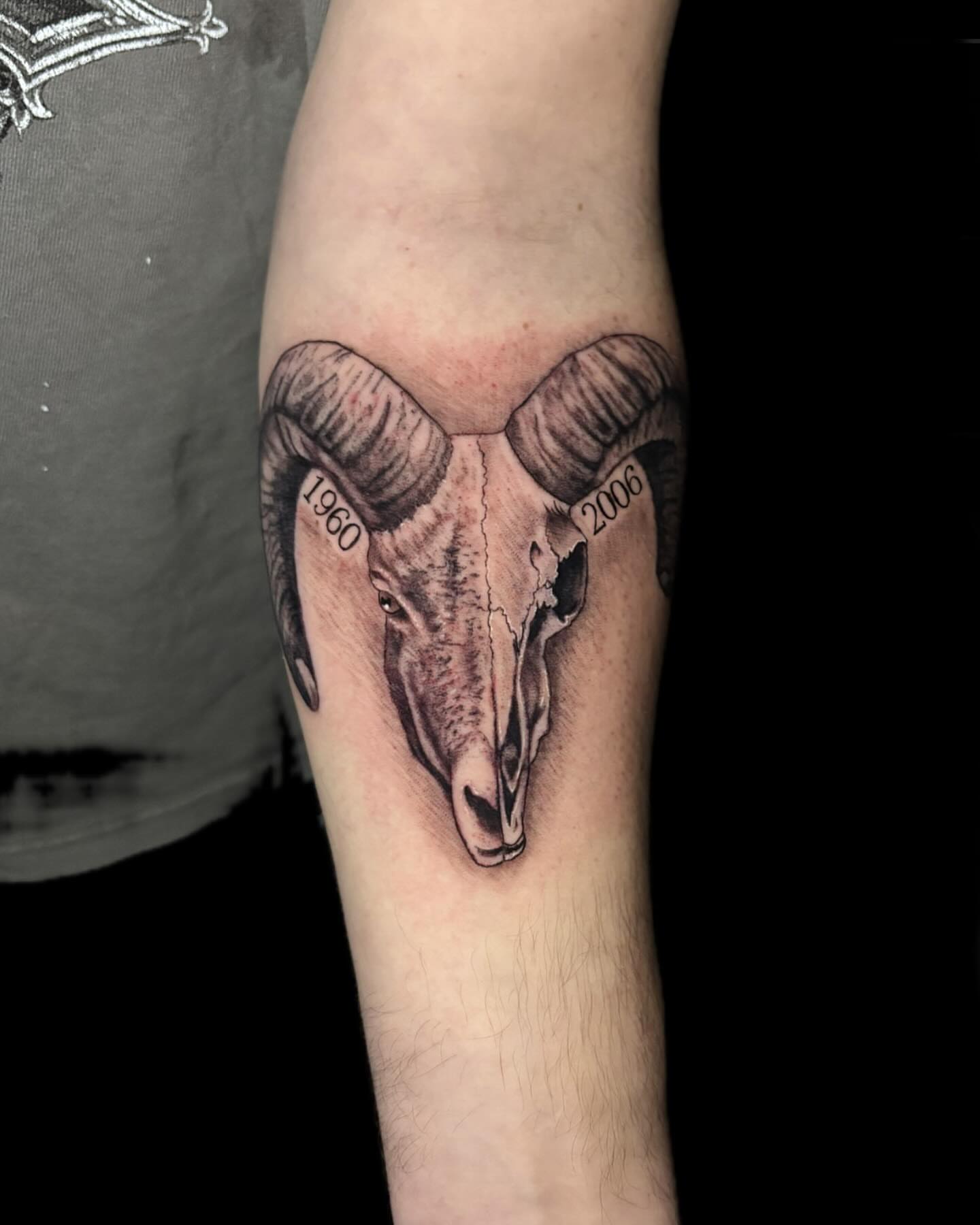 Ram skull realism tattoo on the forearm by 🖤Sabrina Ryan🖤