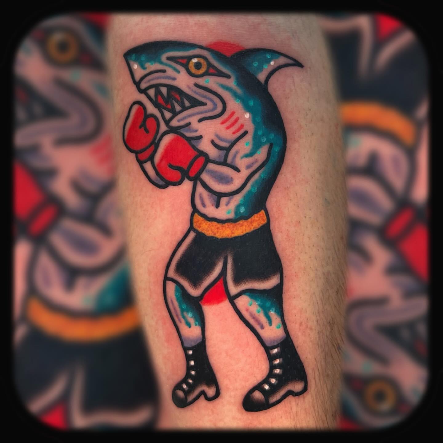 Boxing shark American traditional tattoo on the forearm by Benjamin Ward