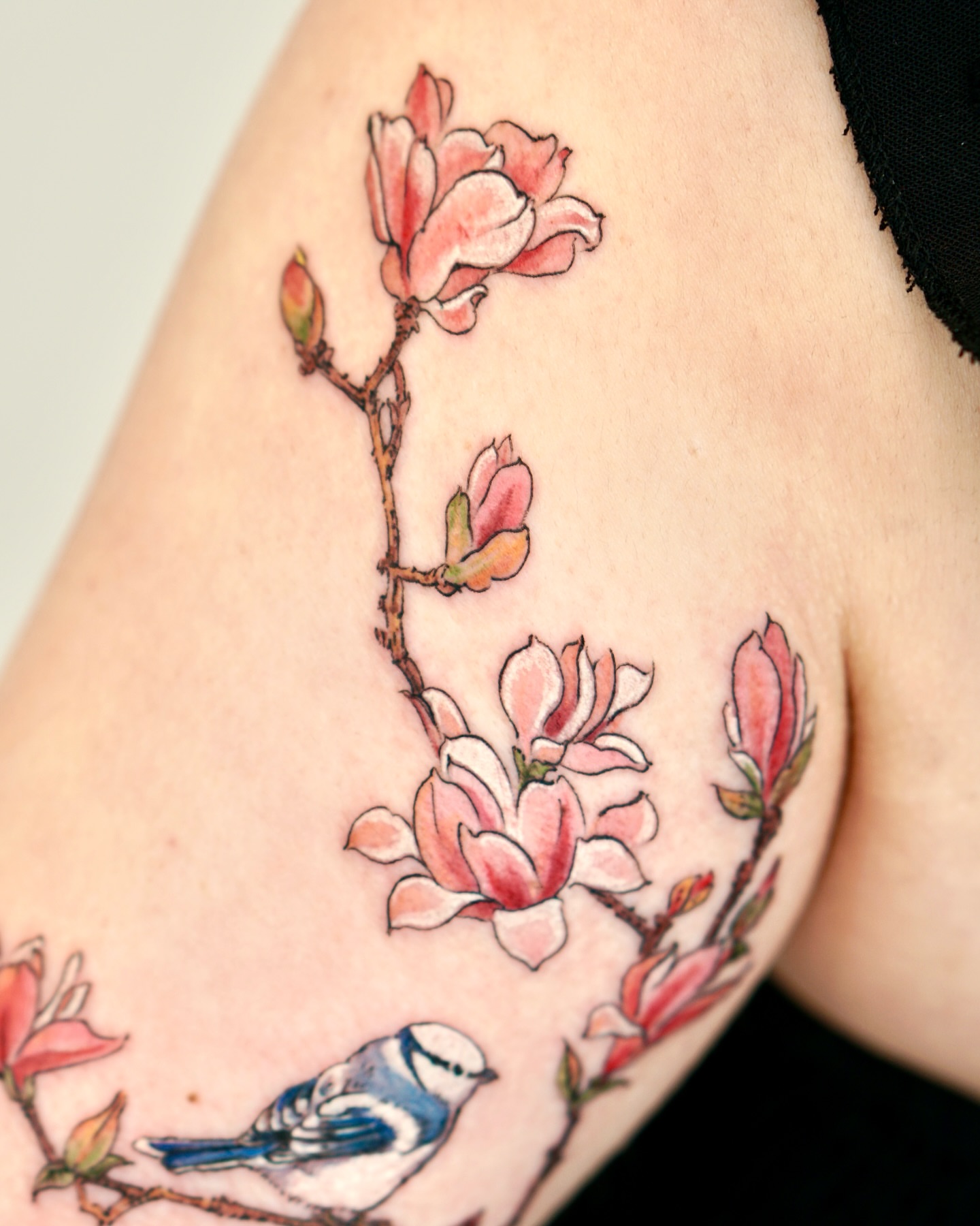 Magnolia blossoms and bird watercolor tattoo on the upper arm by Isle