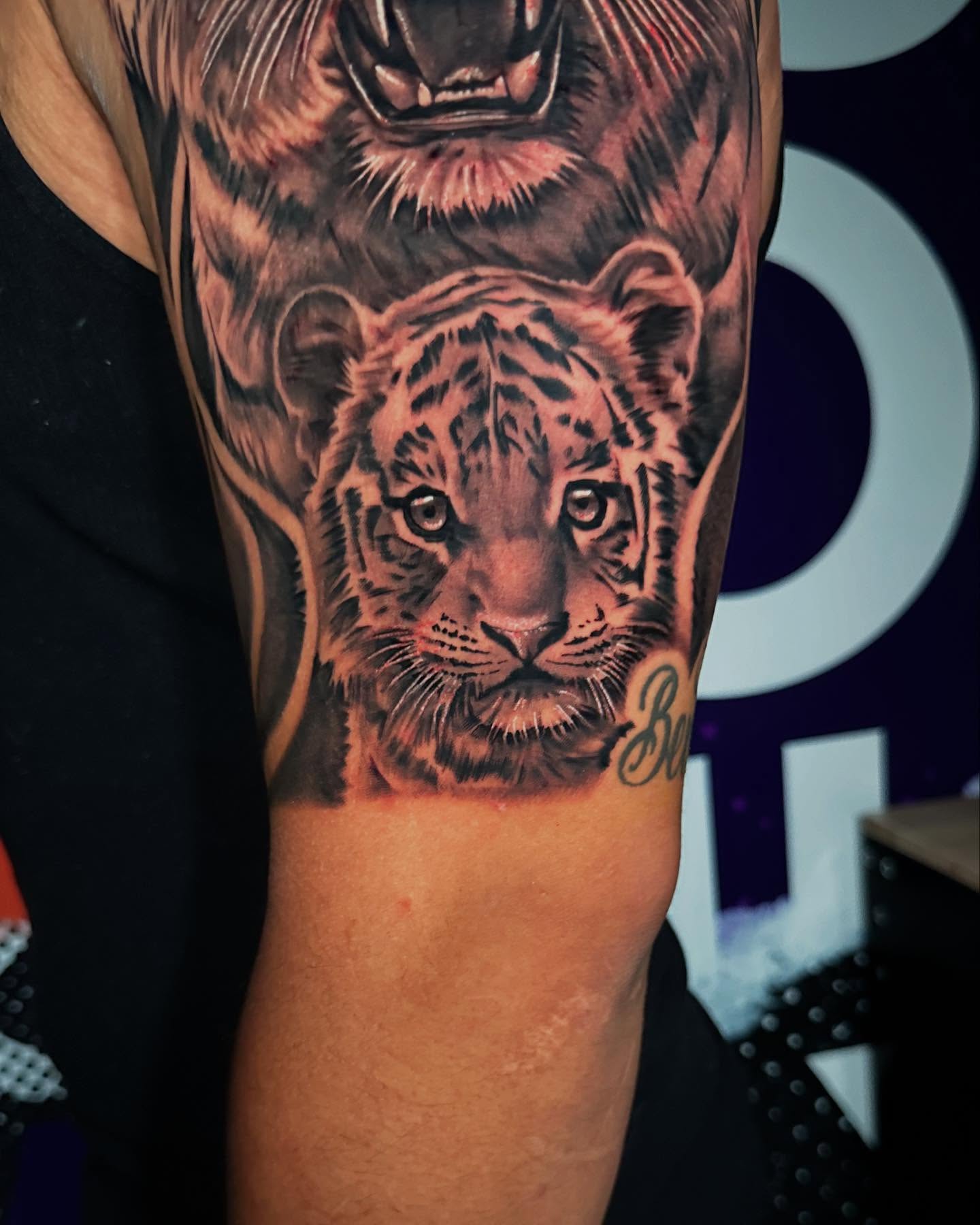 Tiger realism tattoo on the forearm by Charlotte Tattoo Artist