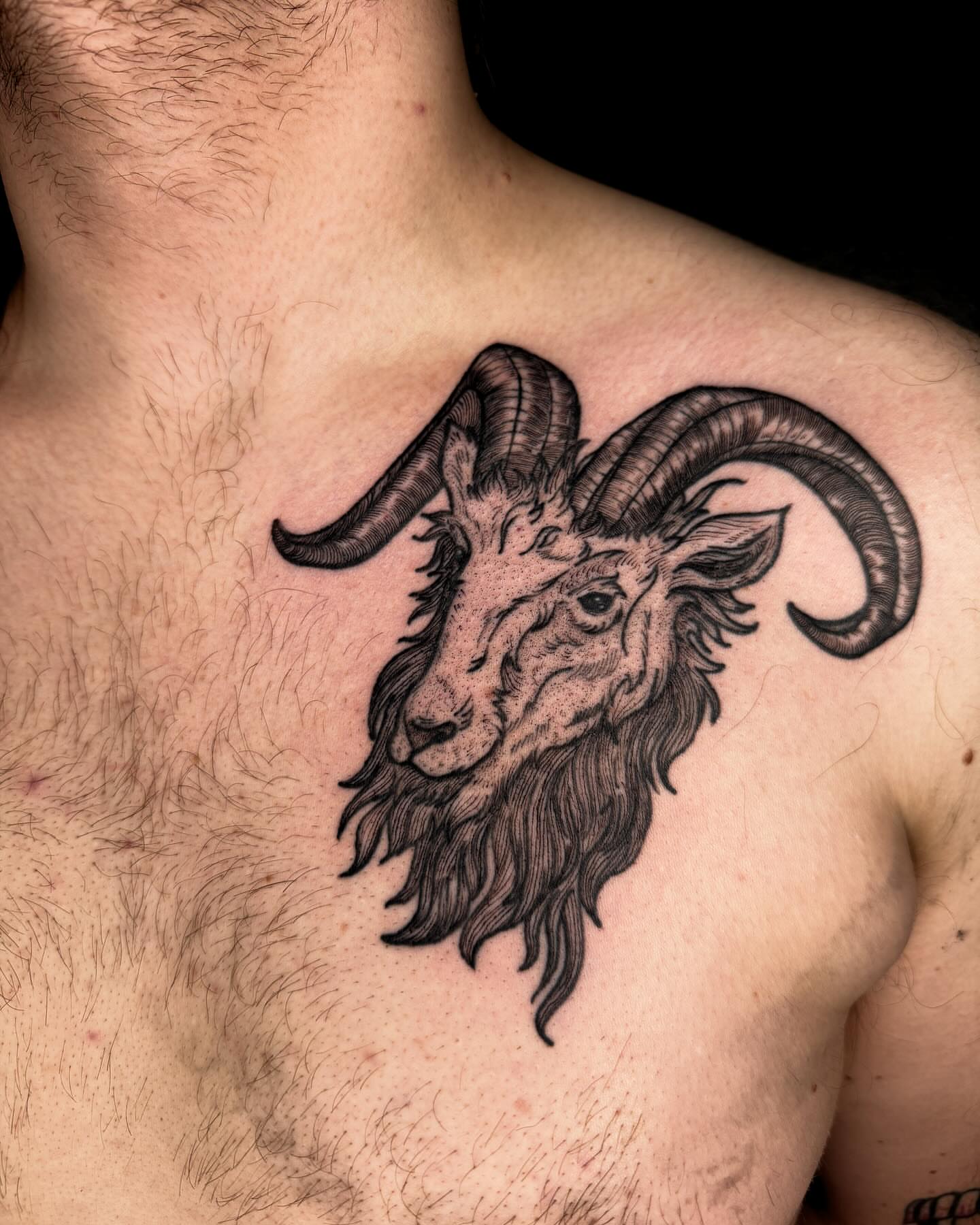 Ram head realism tattoo on the shoulder by Zella Mäkelä
