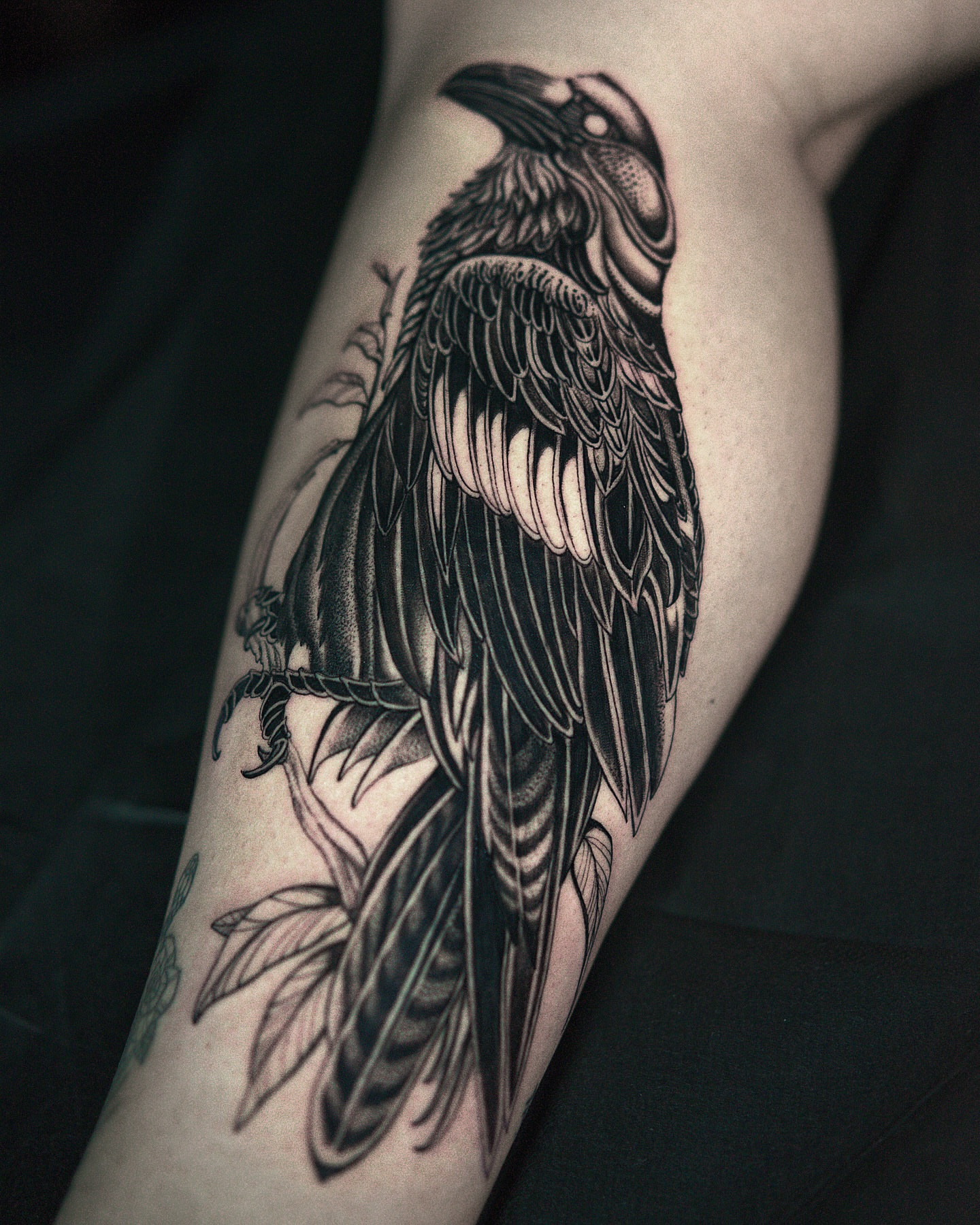 Crow black and grey tattoo on the forearm by H I R A  L U P E - tattoo artist, Oakland, California