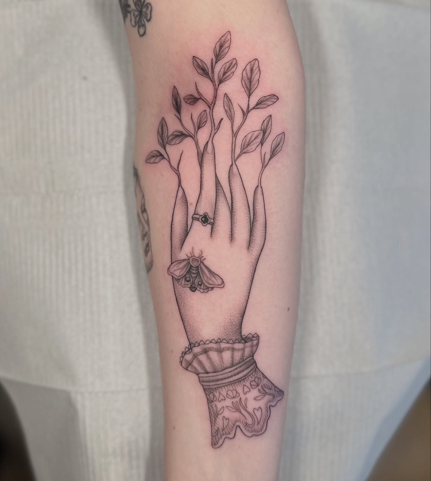 Hand with plant and moth dotwork tattoo on the forearm by ๐ฐ๐๐ข๐๐๐ ๐๐ฃ๐๐๐๐ข๐ชฟ