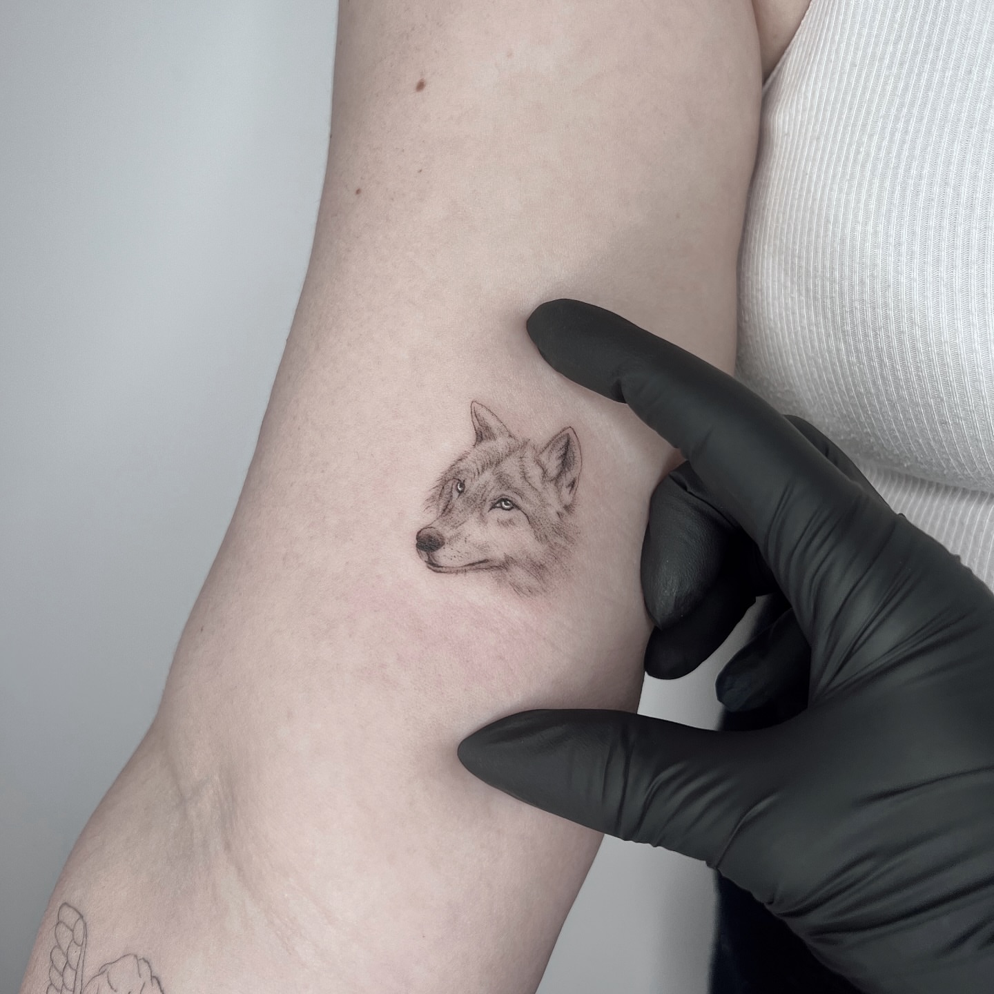 Wolf realism tattoo on the forearm by Marisa Martello, Nashville, Tennessee