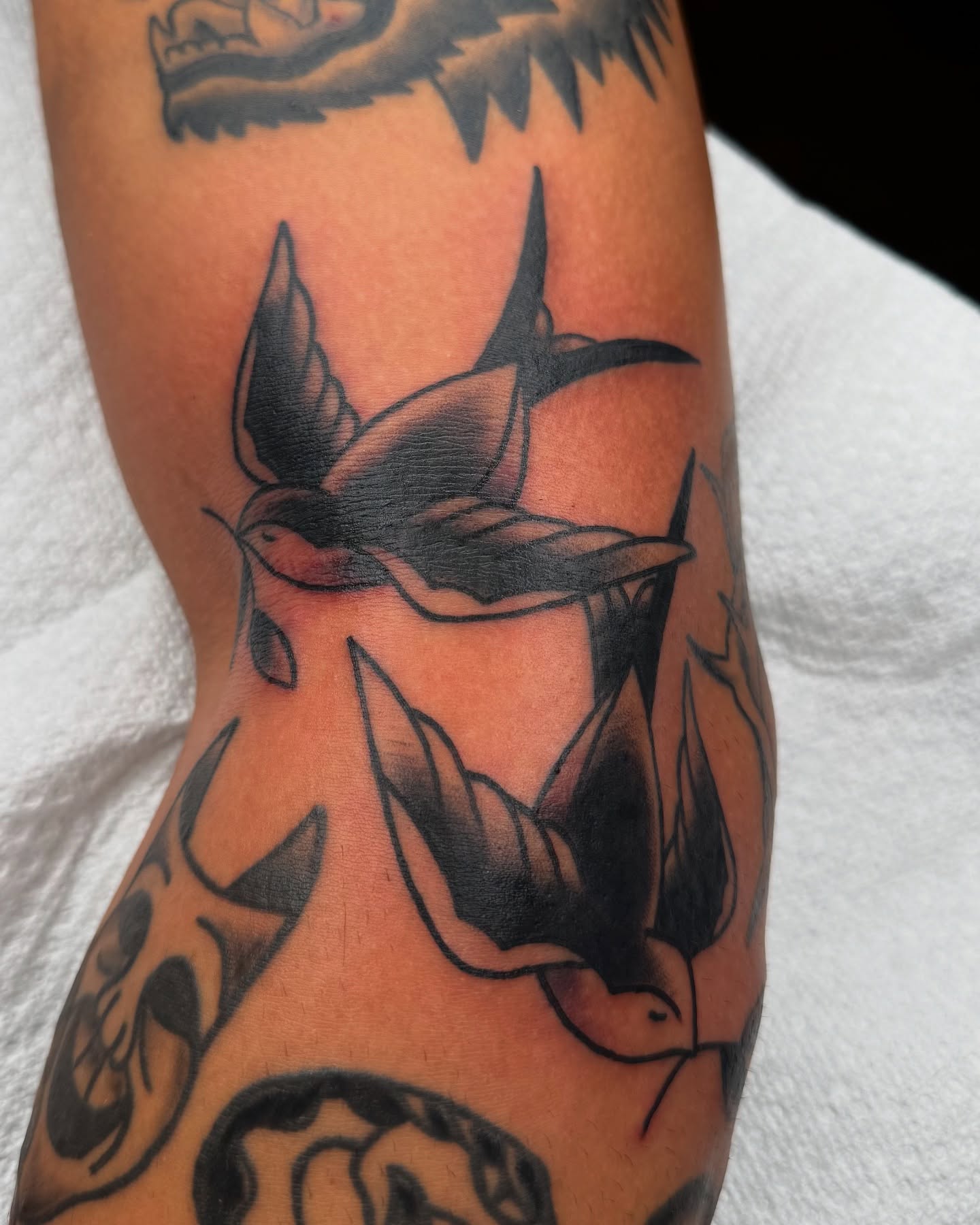 Bull black and grey tattoo on the forearm by Drew🕸️, Phoenix, Arizona