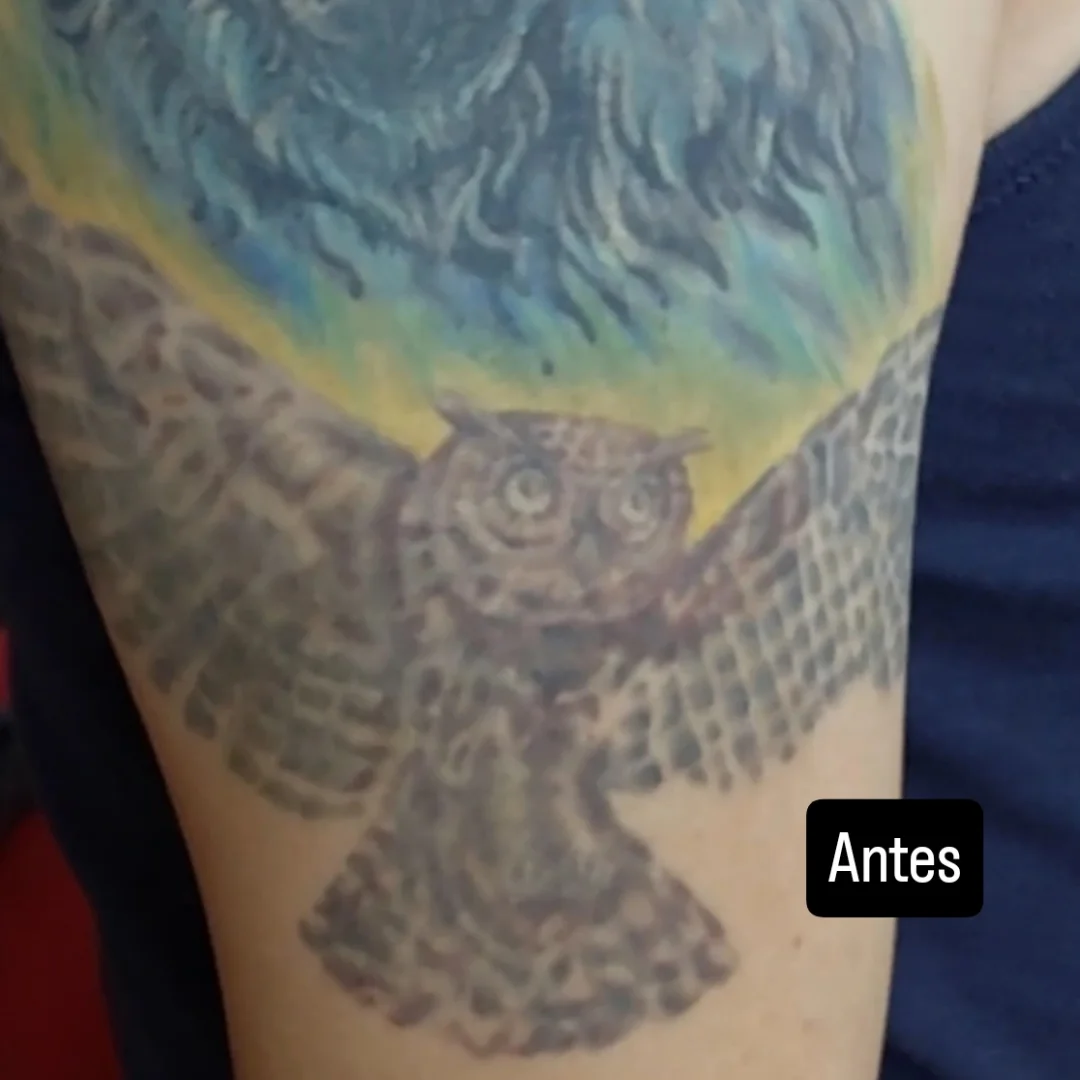 Owl neo-traditional tattoo on the forearm by Hoa King