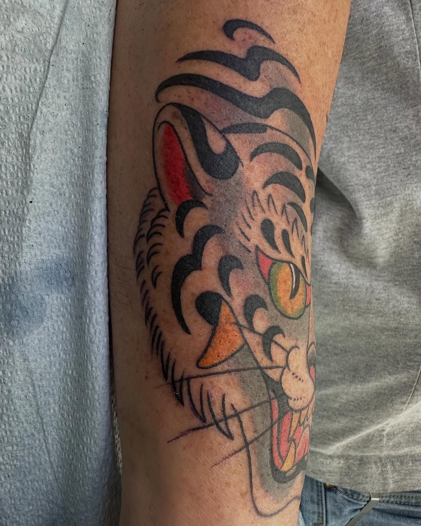 Tiger American traditional tattoo on the forearm by Hori Bensei, Charlottesville, Virginia