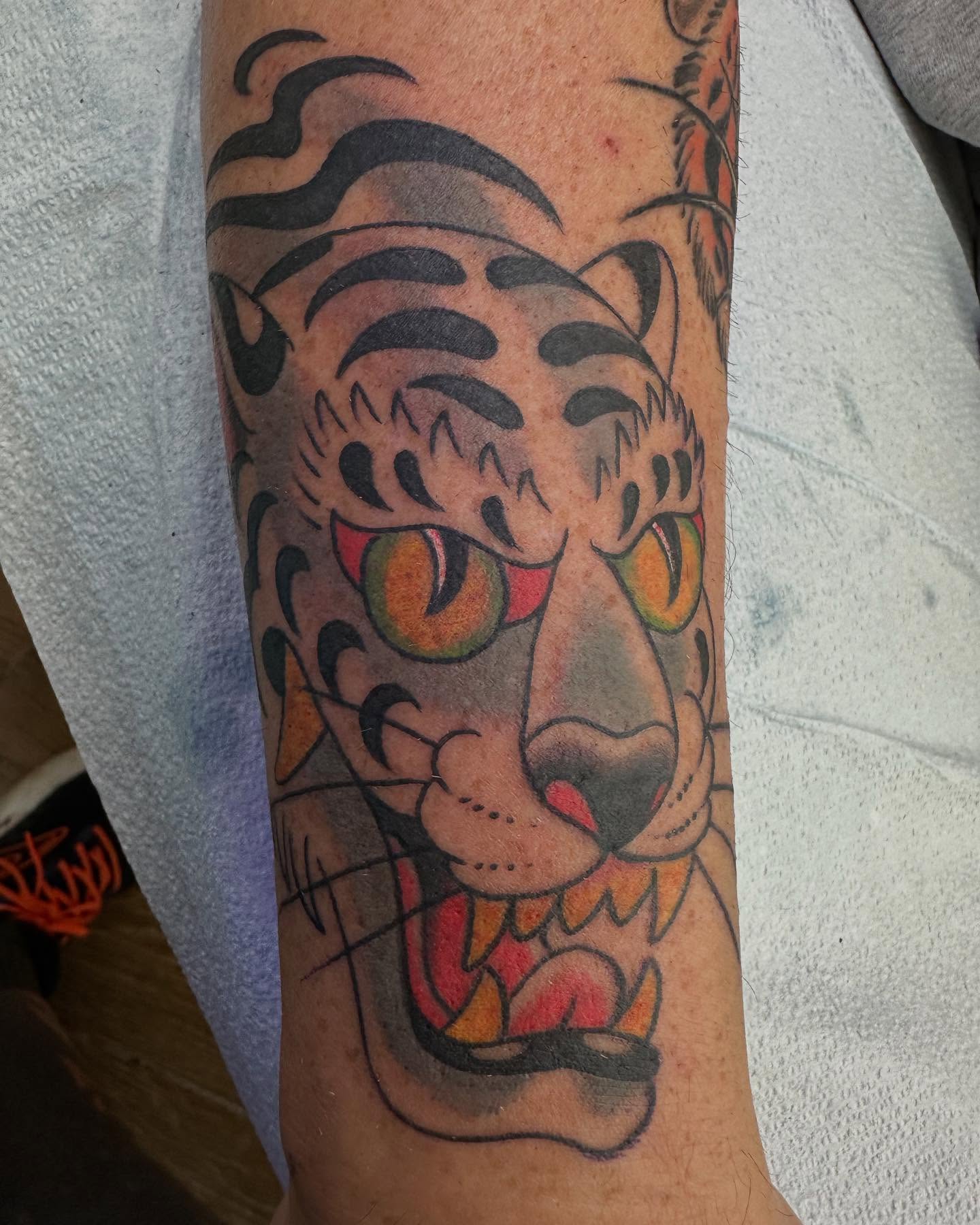 Tiger American traditional tattoo on the forearm by Hori Bensei, Charlottesville, Virginia
