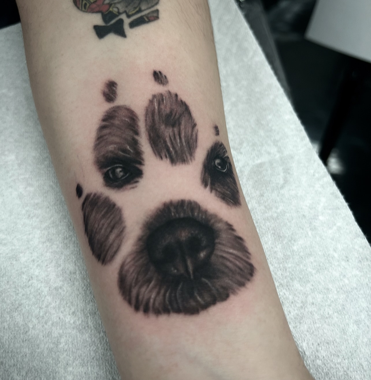 Dog face realism tattoo on the forearm by Tattoo Artist