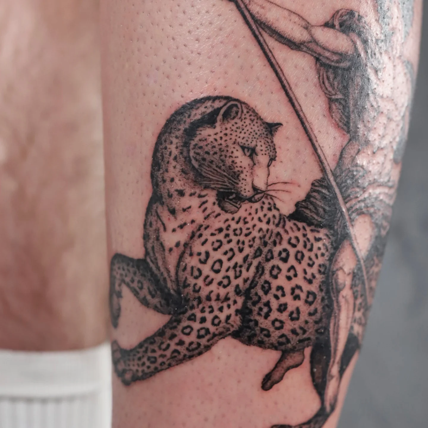 Leopard black and grey tattoo on the forearm by Jessica Sheahan