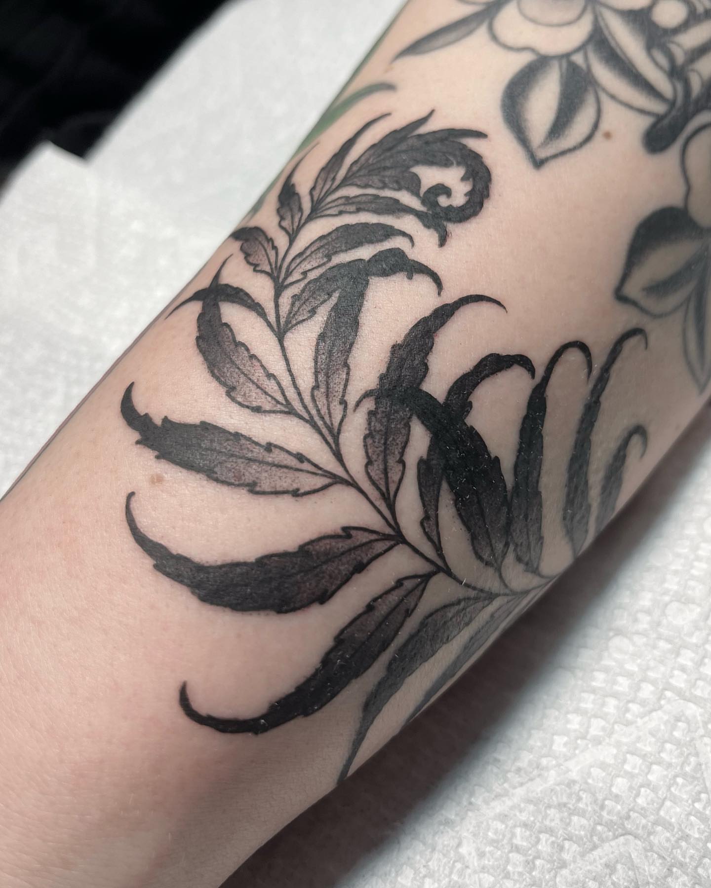 Marijuana leaf black and grey tattoo on the forearm by Kayla Faircloth, Charlotte, North Carolina