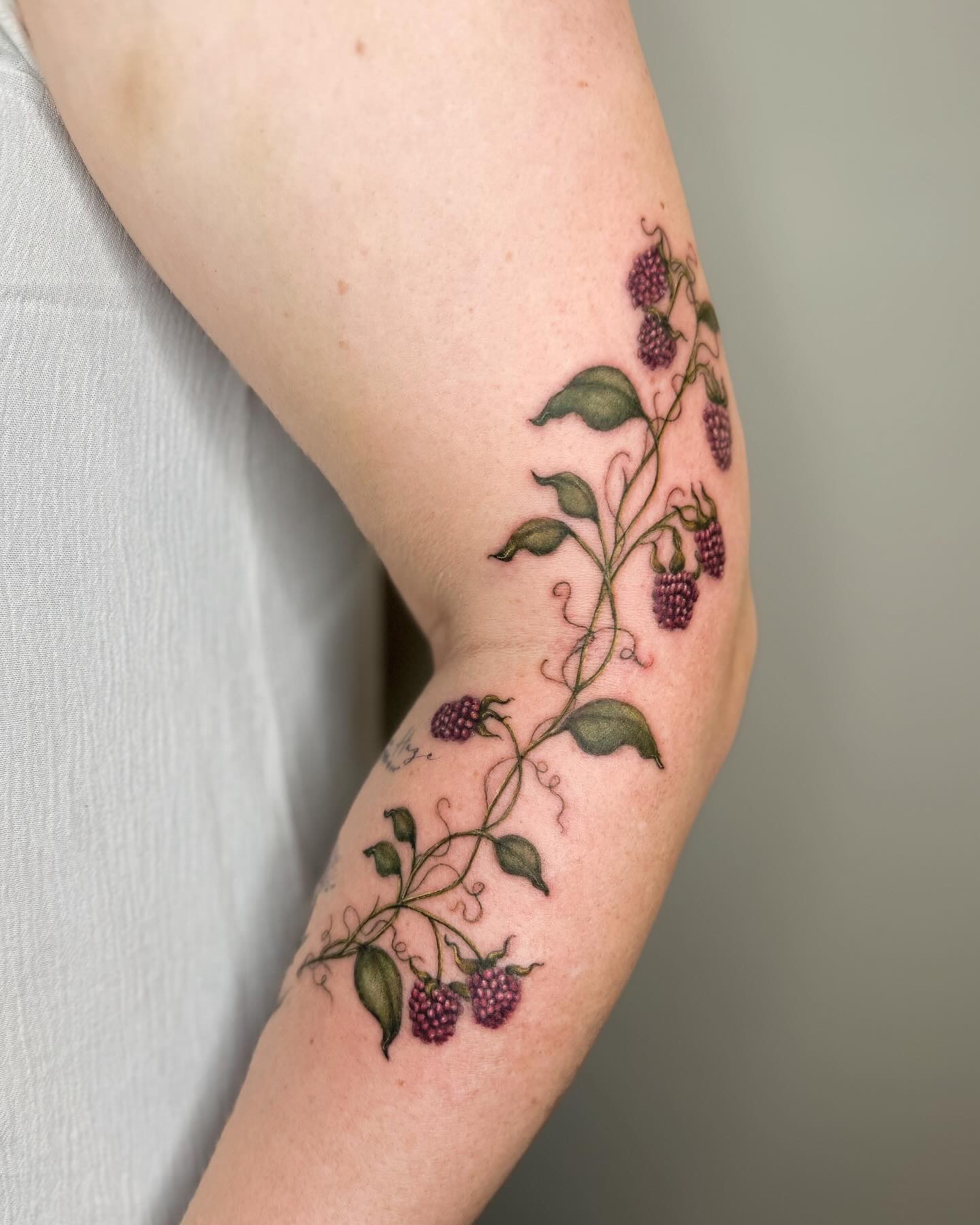 Berry vine realism tattoo on the forearm by Natasha Rachel Fineline Tattoos Nashville