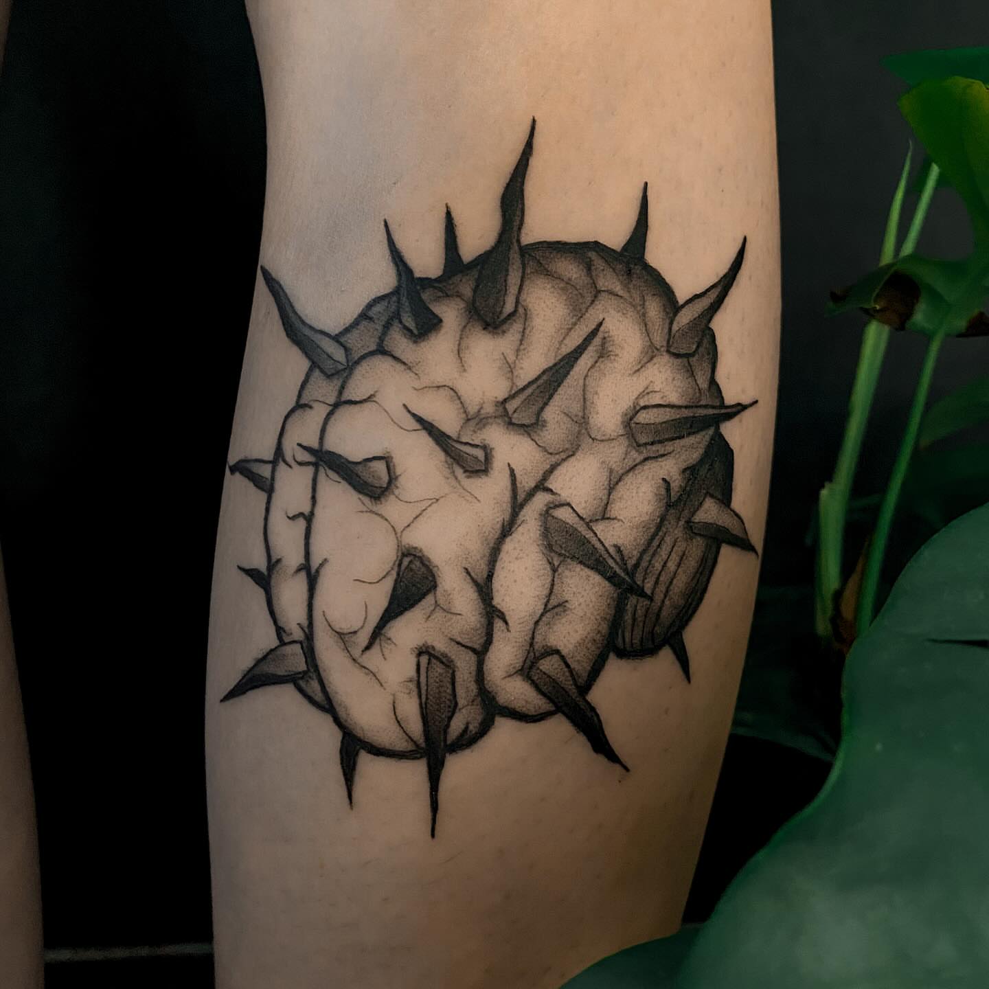 Spiky fruit black and grey tattoo on the forearm by ✥ G i t t a ✥