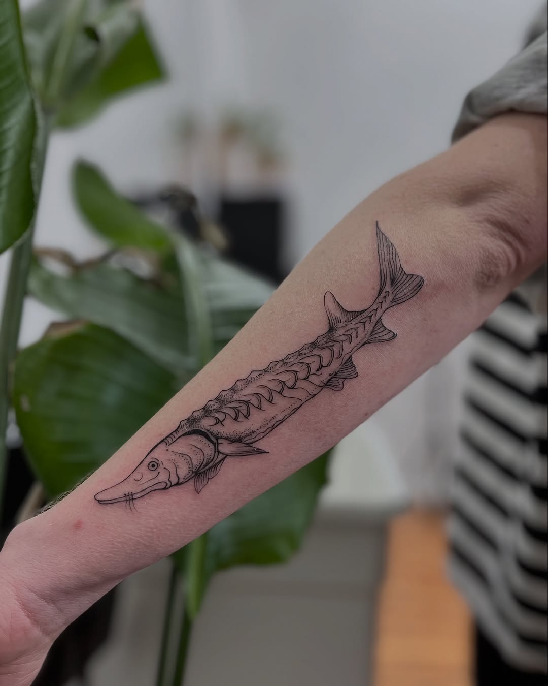 Tattoo by @crispyorchids — fine_line, black_and_grey