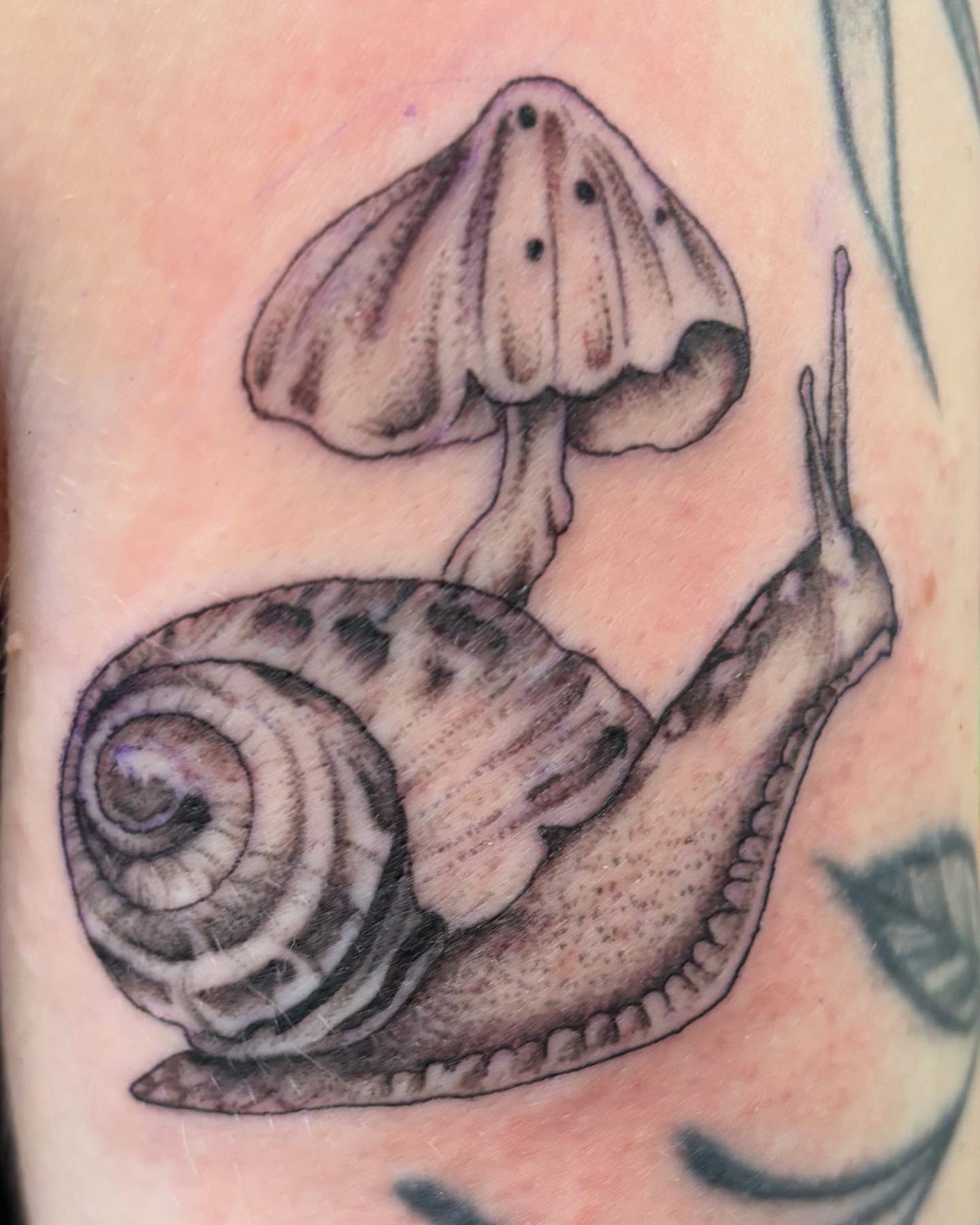 Tattoo by @kolton_tattoos — realism, dotwork