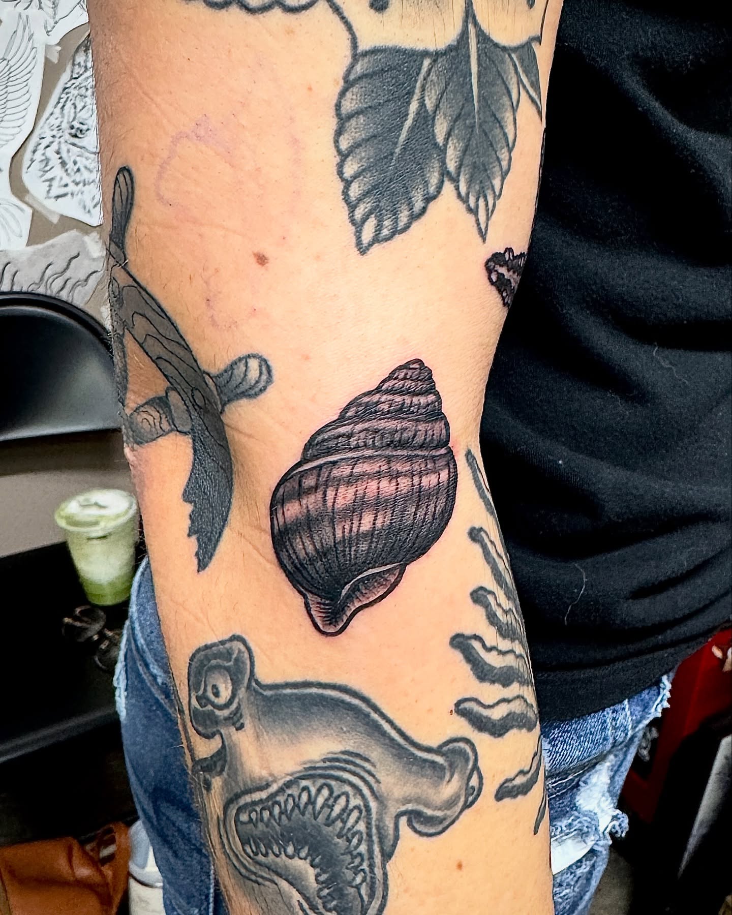 Shell and bird black and grey tattoo on the forearm by Derek Cilla, Bethlehem, Pennsylvania