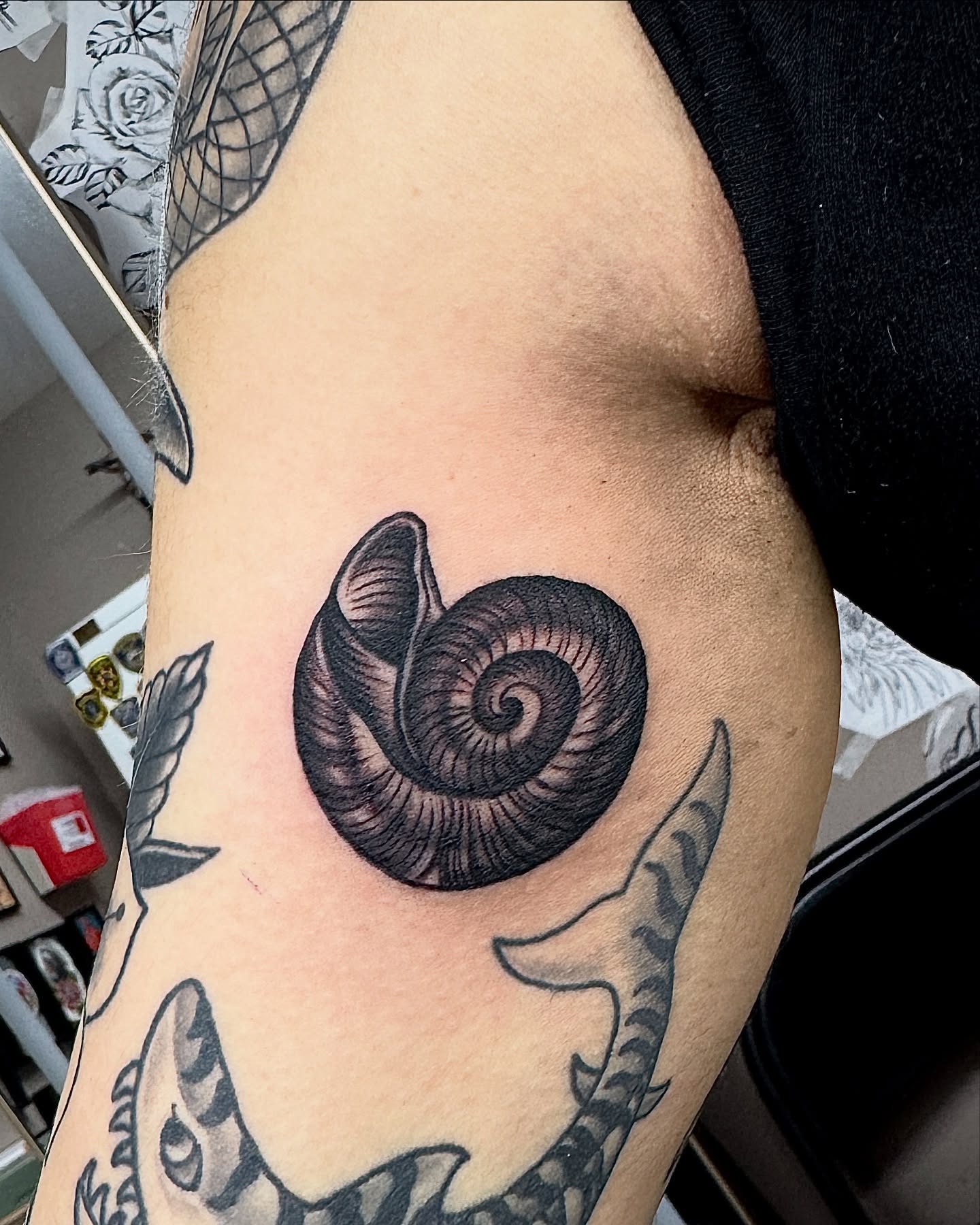 Snail shell black and grey tattoo on the upper arm by Derek Cilla, Bethlehem, Pennsylvania