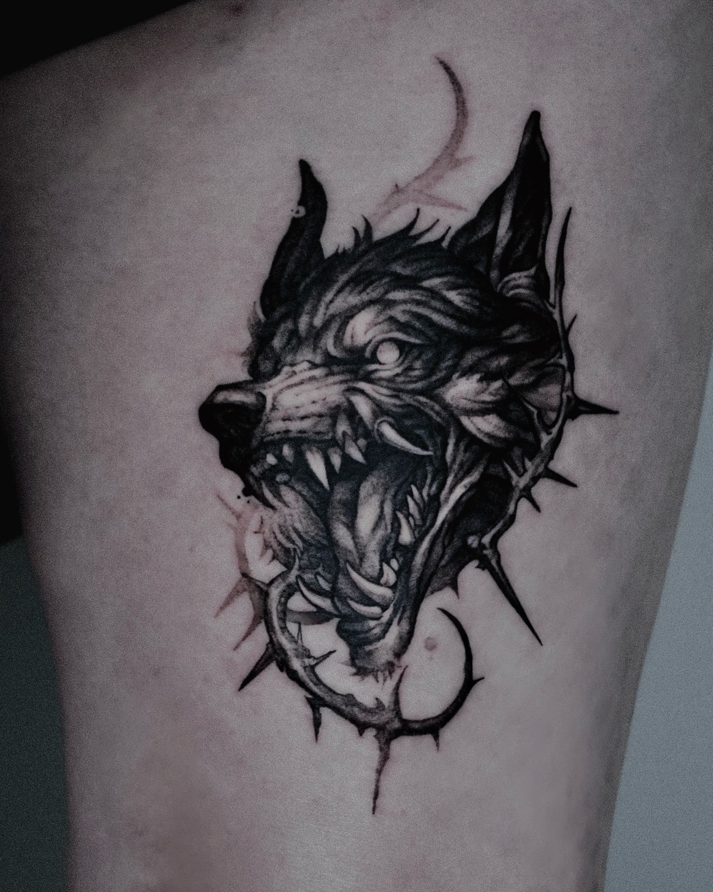 Wolf head realism tattoo on the thigh by 두식