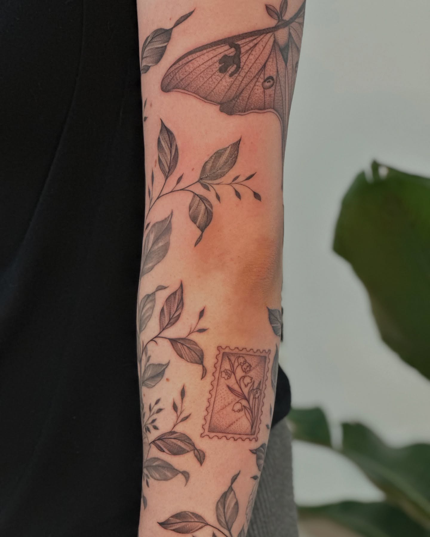 Botanical stamp black and grey tattoo on the forearm by ๐
๐๐๐๐๐ ๐๐๐๐๐๐