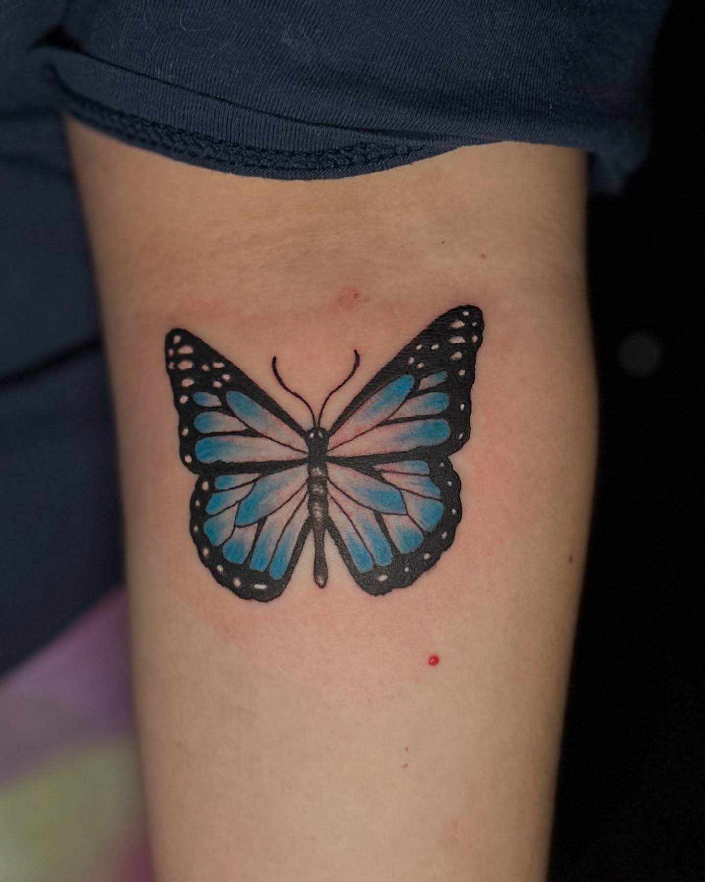 Butterfly realism tattoo on the forearm by Juan c munoz jr, Chicago, Illinois