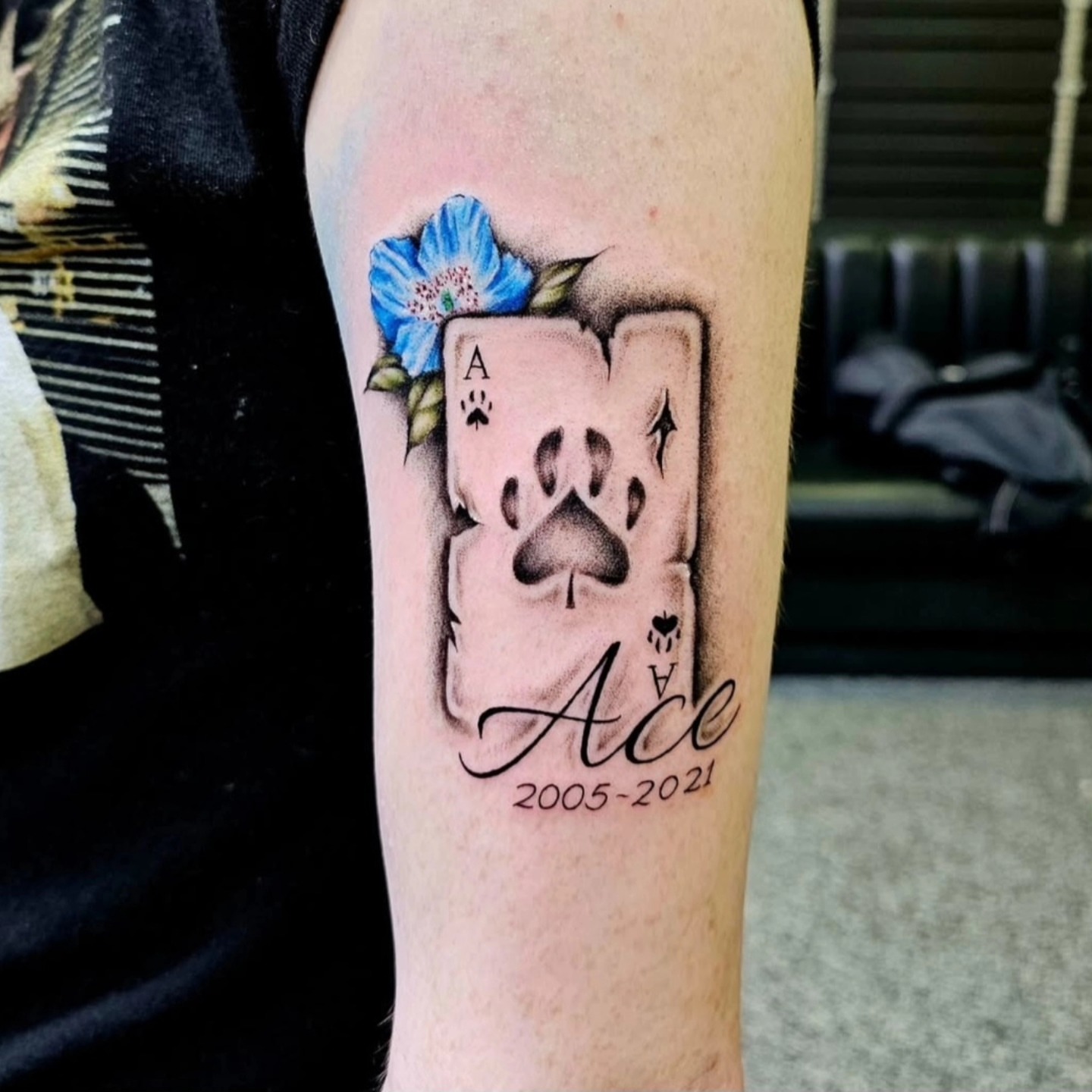 Ace card with paw print American traditional tattoo on the forearm by Drew King