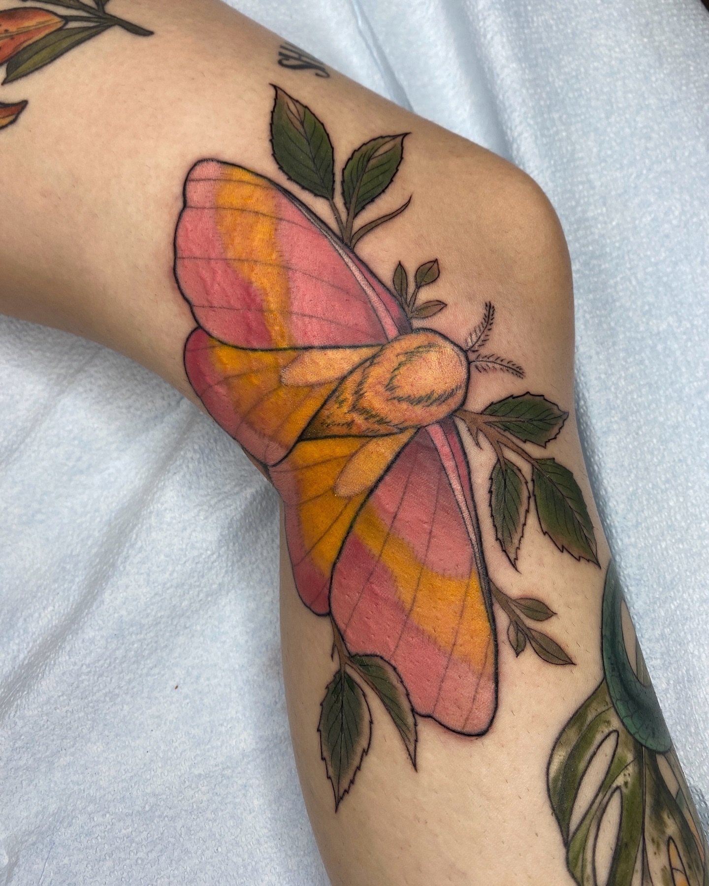 Tattoo by @horsegirltats — realism