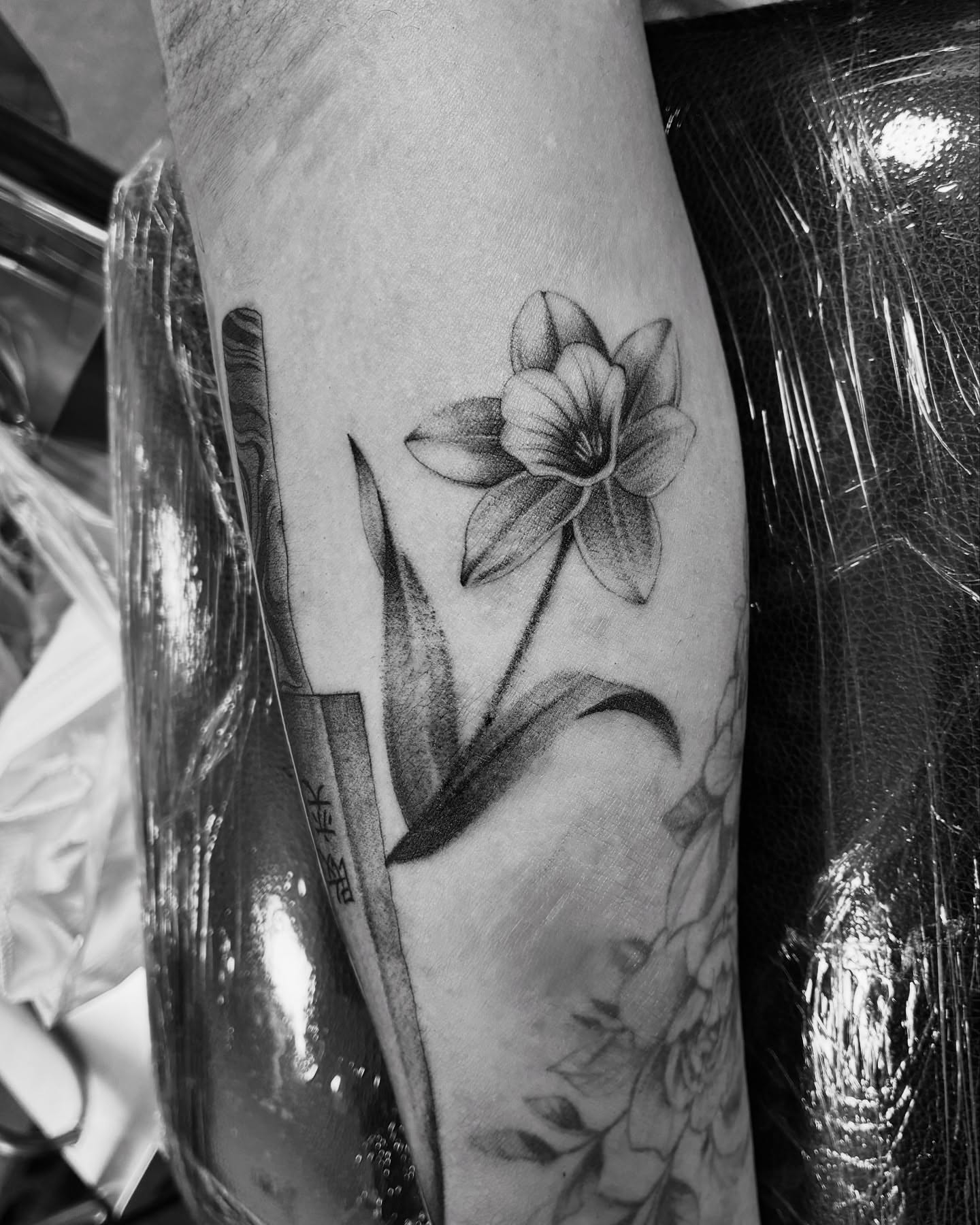 Tattoo by @stee_tt — black_and_grey, realism