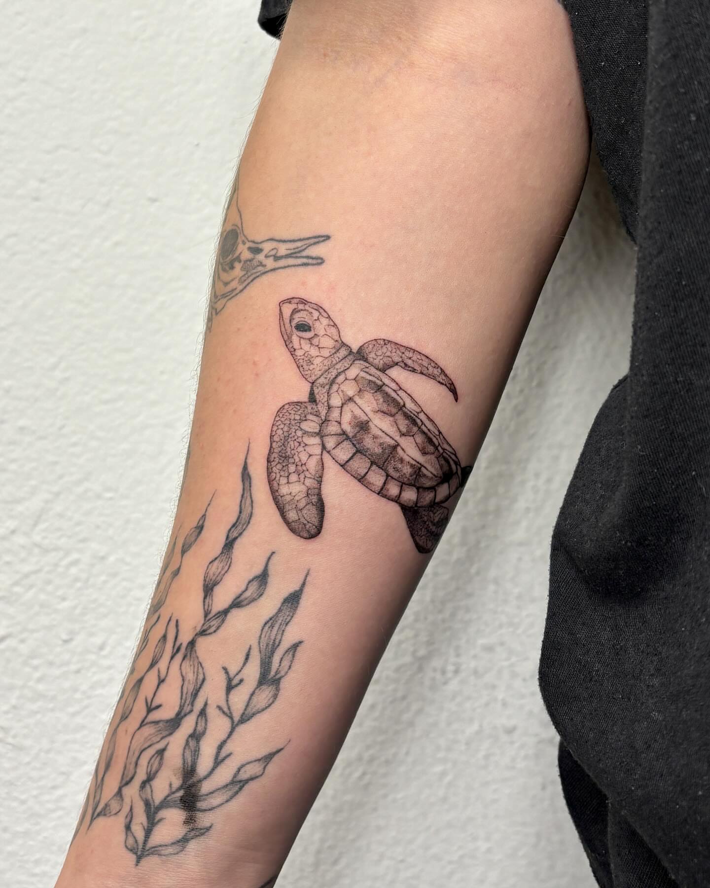 Sea turtle dotwork tattoo on the forearm by alyssa doing tattoos