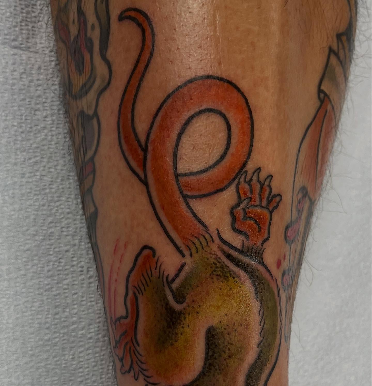Dragon American traditional tattoo on the forearm by Allie Tippets, Gilbert, Arizona