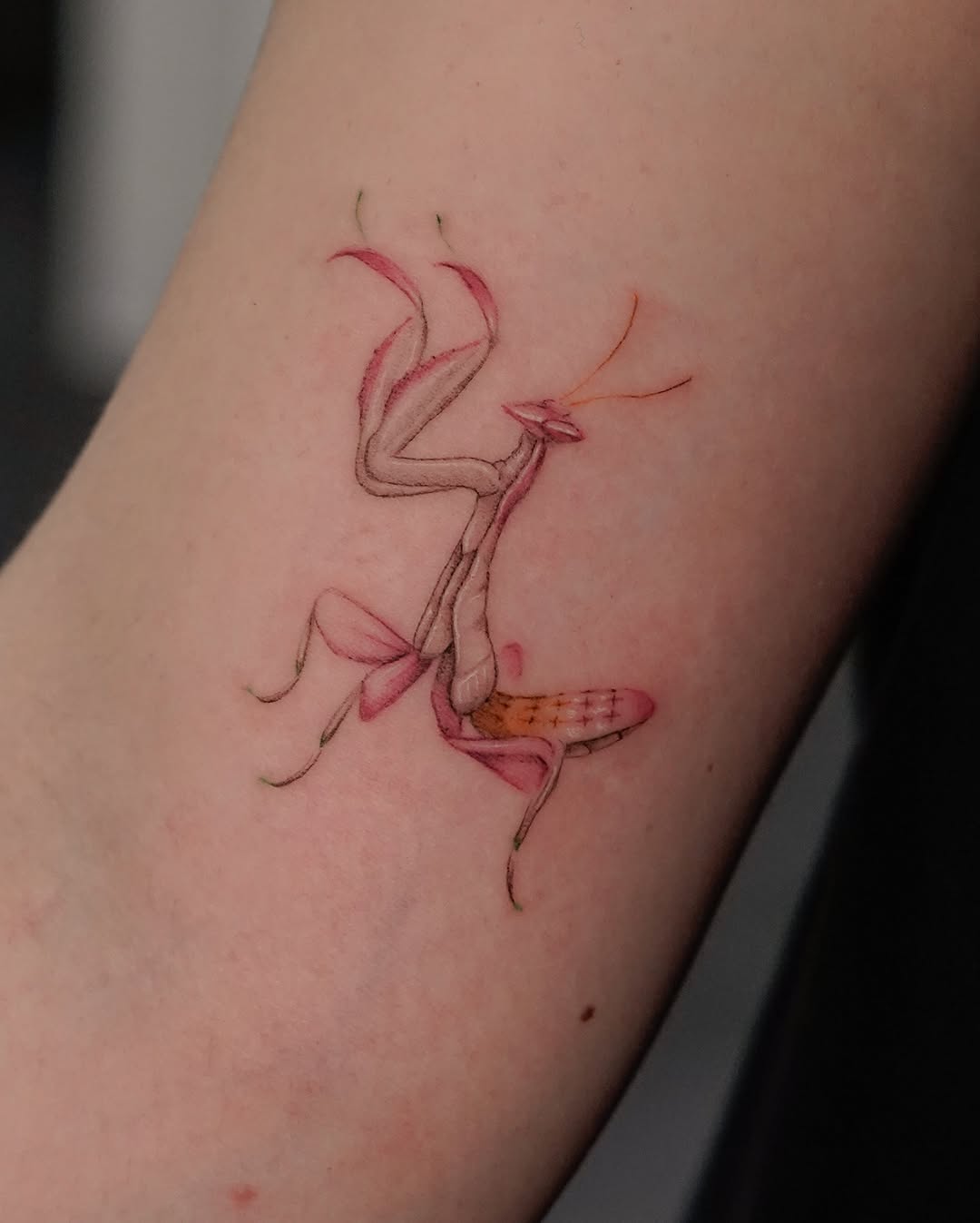 Tattoo by @eddiectattoo — realism, fine_line