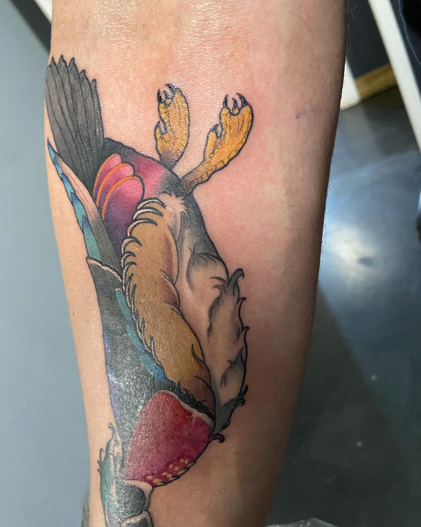 Moose American traditional tattoo on the forearm by Slade Nowicki