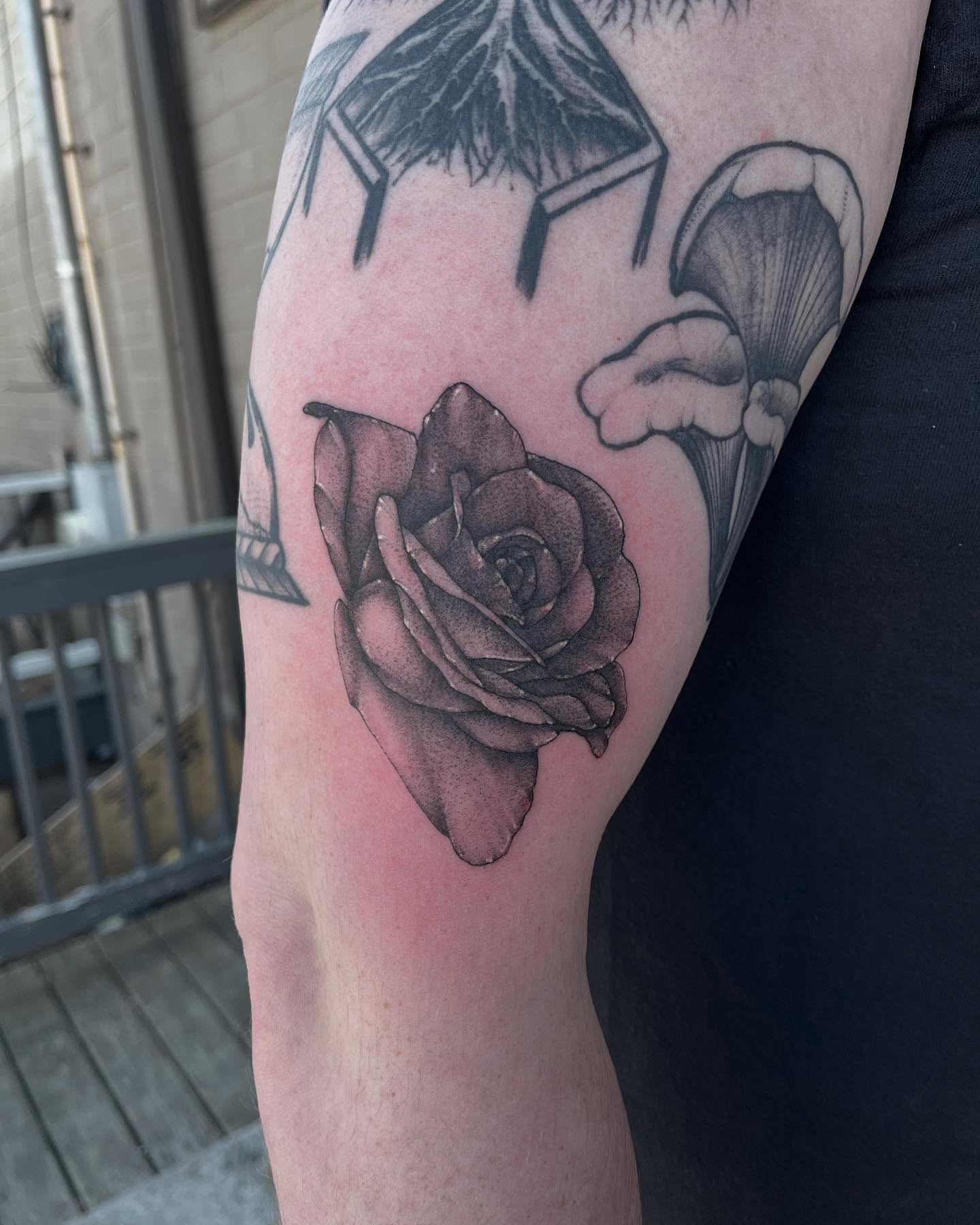 Rose black and grey tattoo on the forearm by Dallas Davis