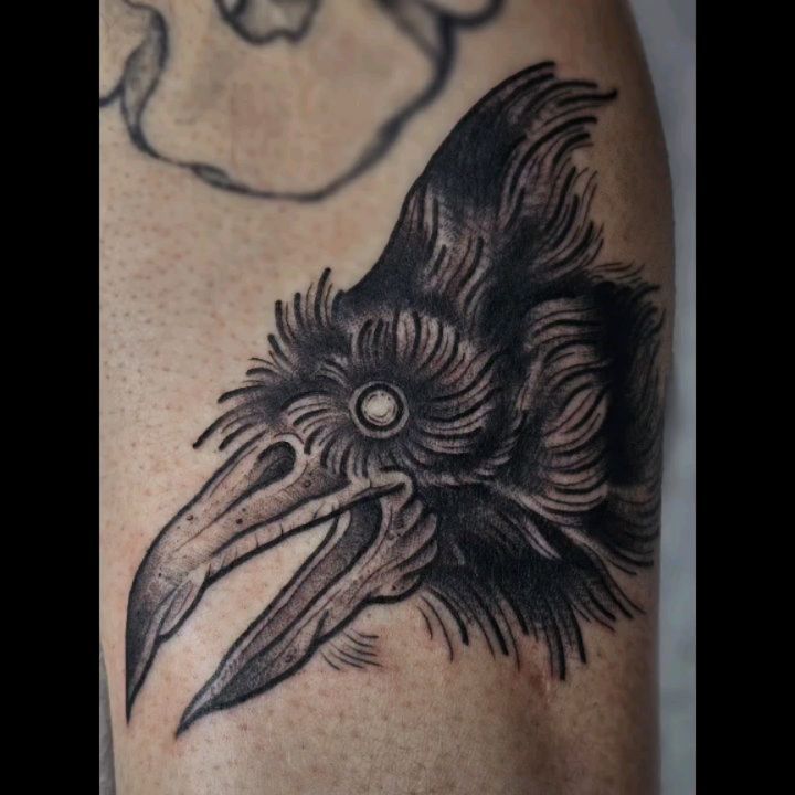 Tattoo by @doveandtoad — black_and_grey