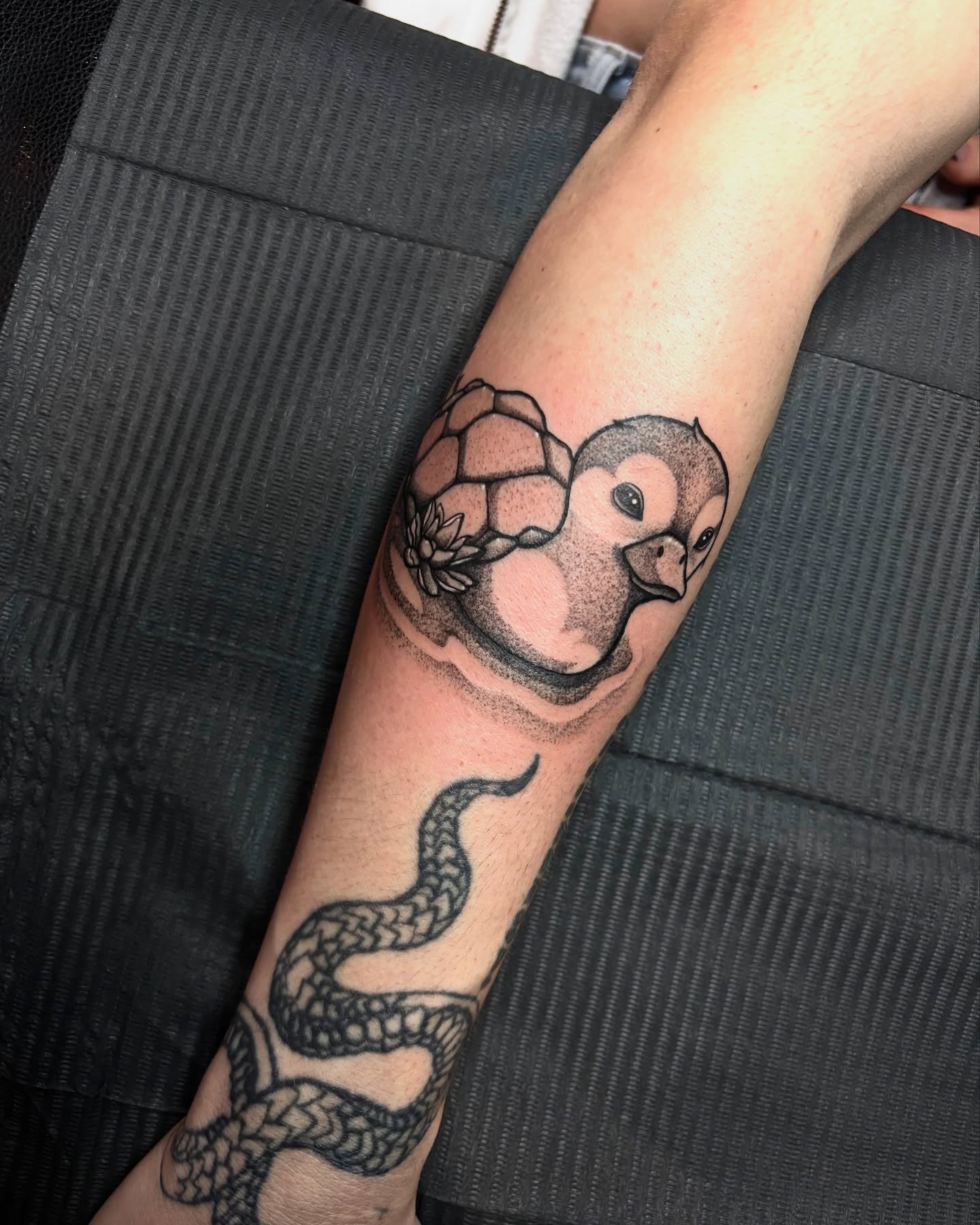 Bird and turtle dotwork tattoo on the forearm by aleah 🌙