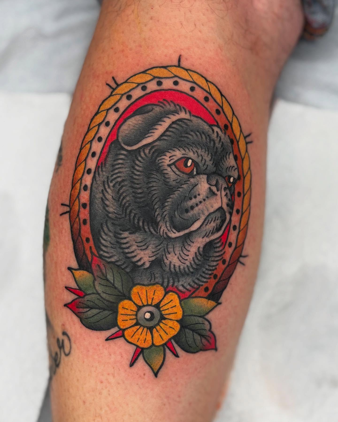 Bulldog American traditional tattoo on the forearm by Cody Collins