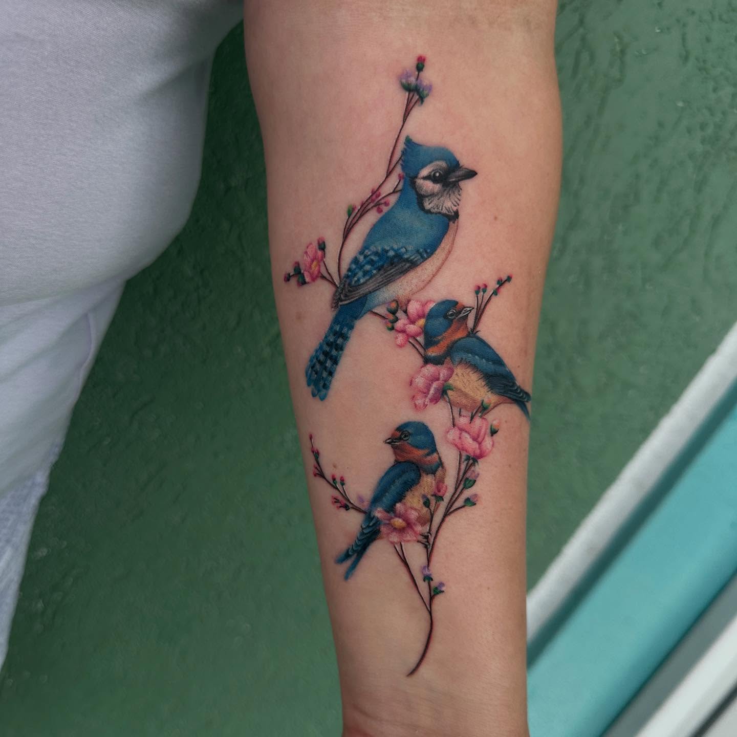 Blue jay and cherry blossoms realism tattoo on the forearm by Holle Hellfire
