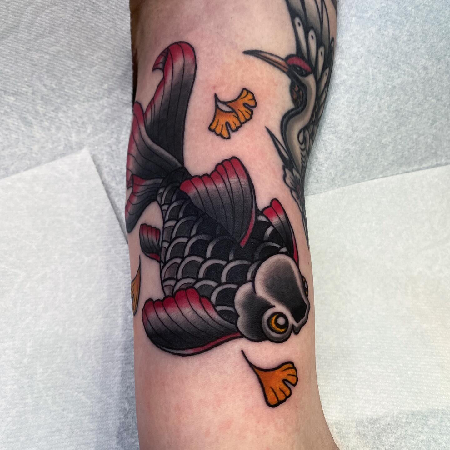 Koi fish American traditional tattoo on the forearm by Lindsey Cam Van